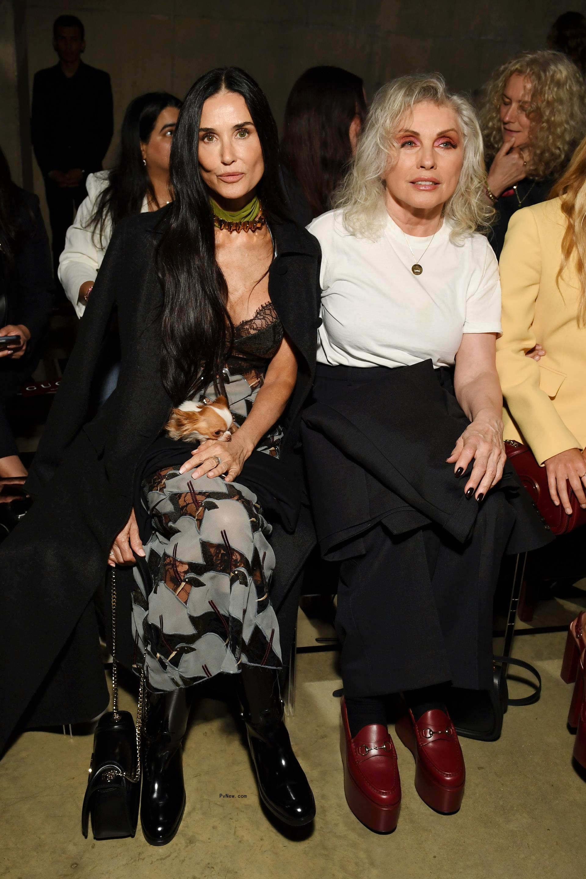 Demi Moore and her dog Pilaf with Debbie Harry the Gucci Cruise 2025 fashion show