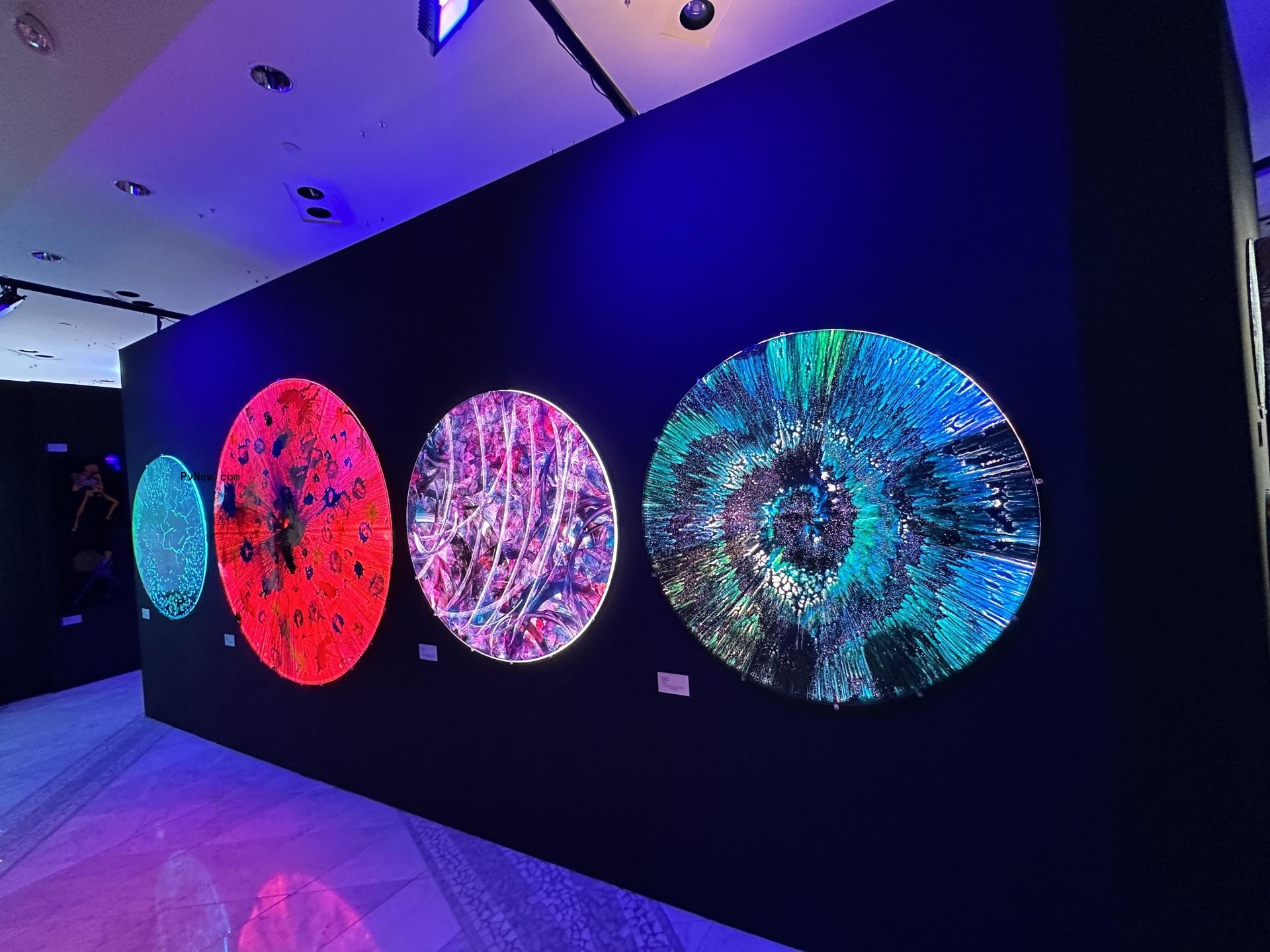 Mickey Hart on Dead & Company’s Staggering Sphere Run and His Vegas Art Exhibition: ‘The Stars Are Aligned for Us’