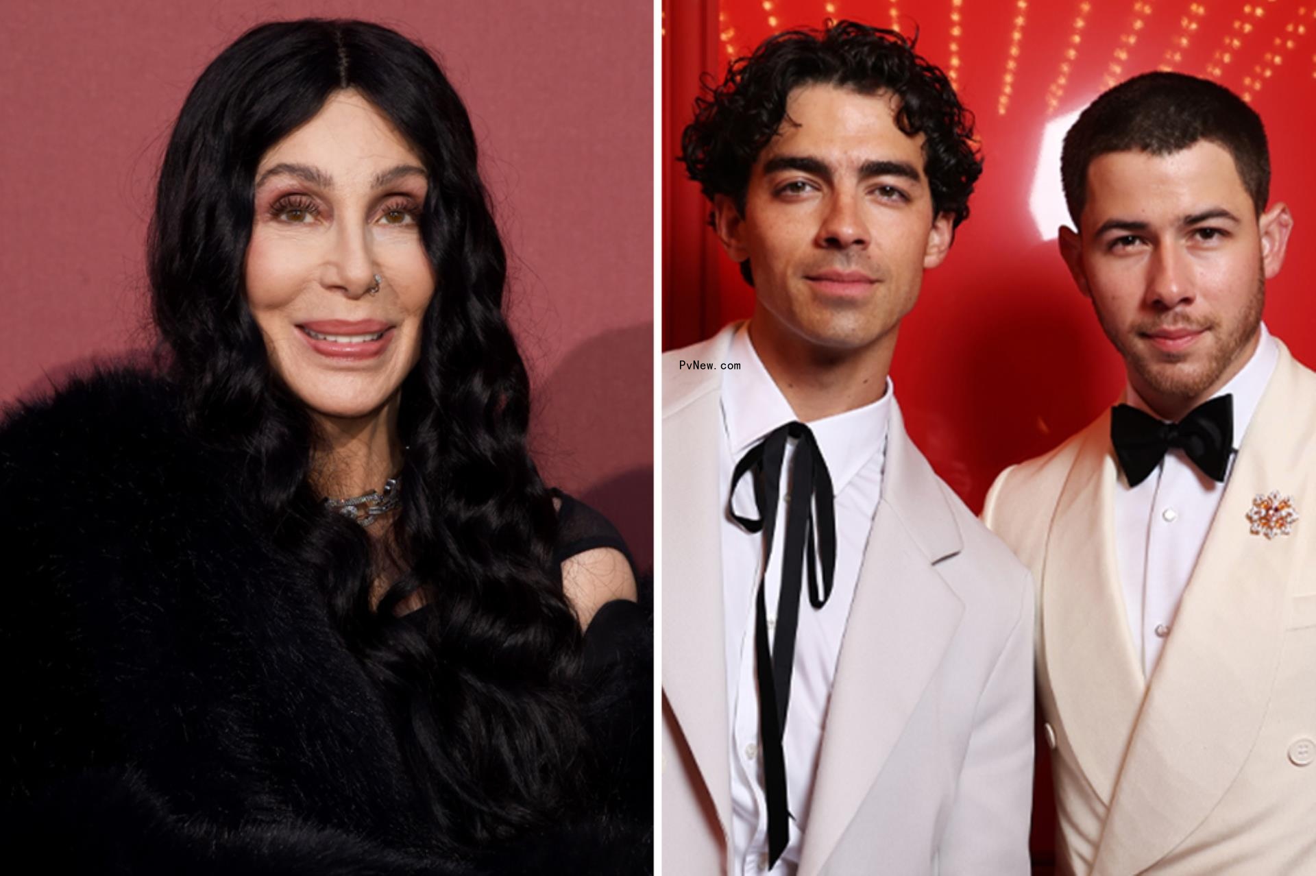 Cher and Two Jo<i></i>nas Brothers Rock Out at Dazzling 30th amfAR Cannes Gala
