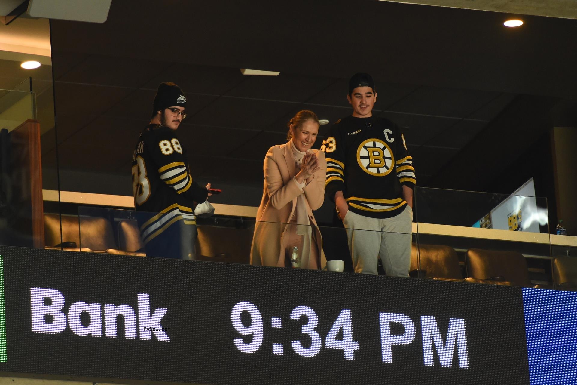 Céline Dion selfie with sons 
