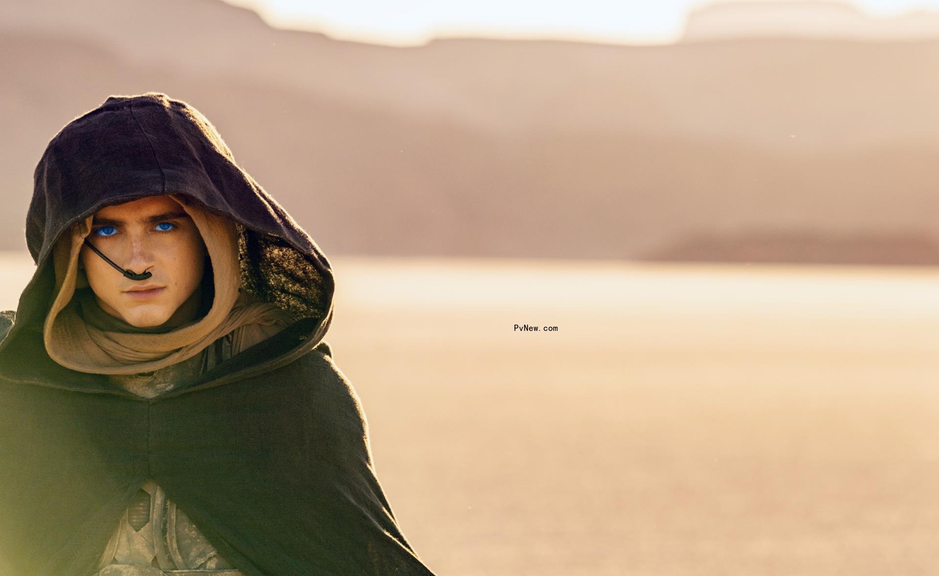 Timothee Chalamet in Dune
