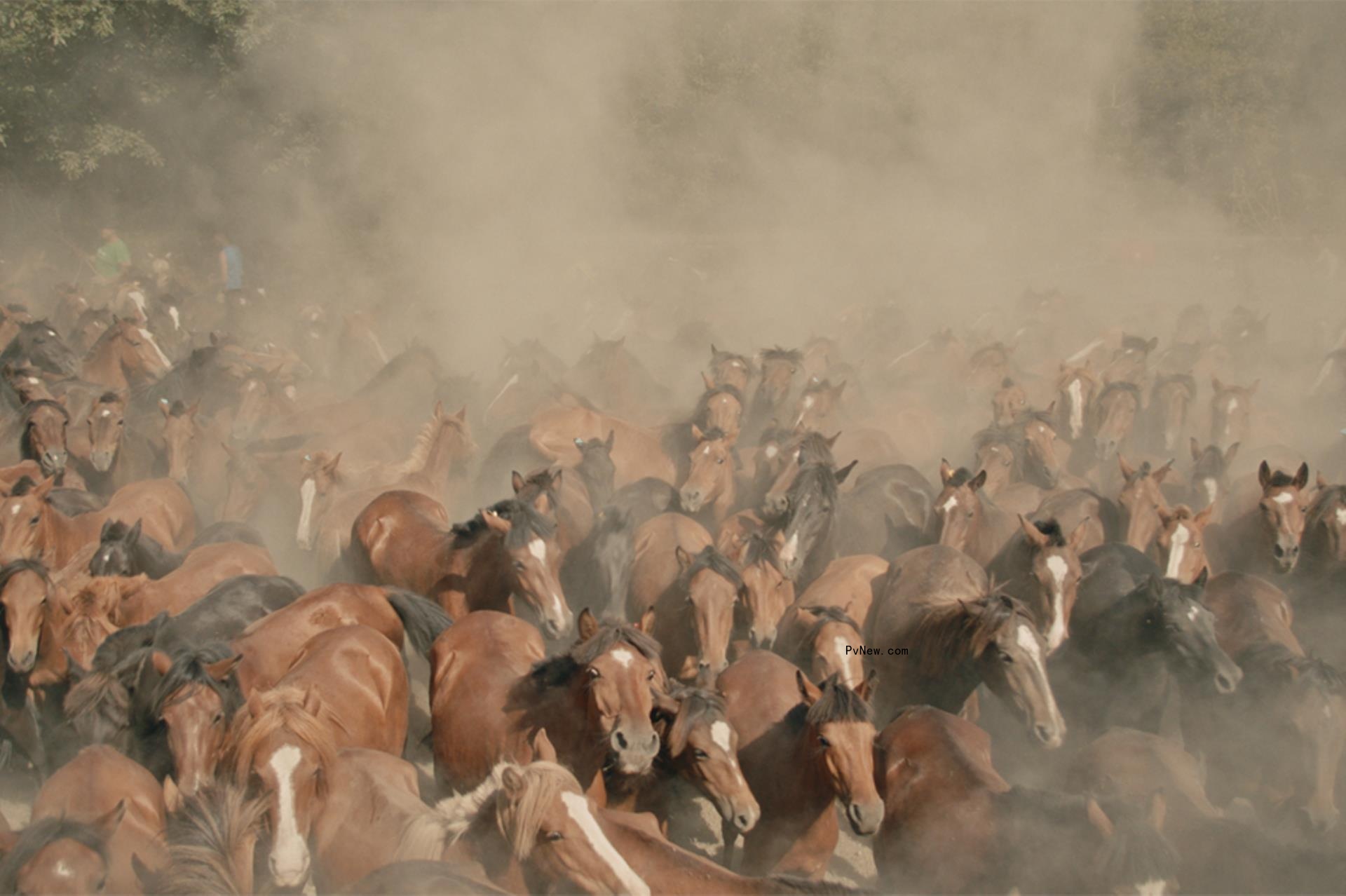 ‘o<i></i>nly on Earth,’ ‘Aliyá, Yeridá’ Win Top Cannes Docs-in-Progress Industry Awards