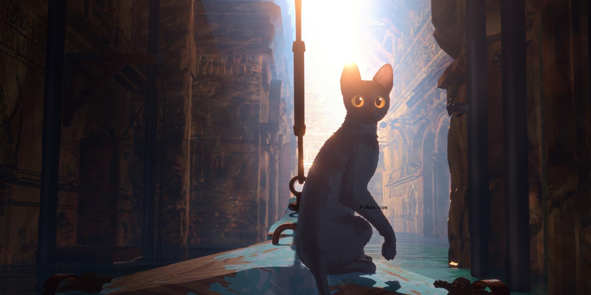 Sideshow and Janus Films Acquire North American Rights to ‘Flow’