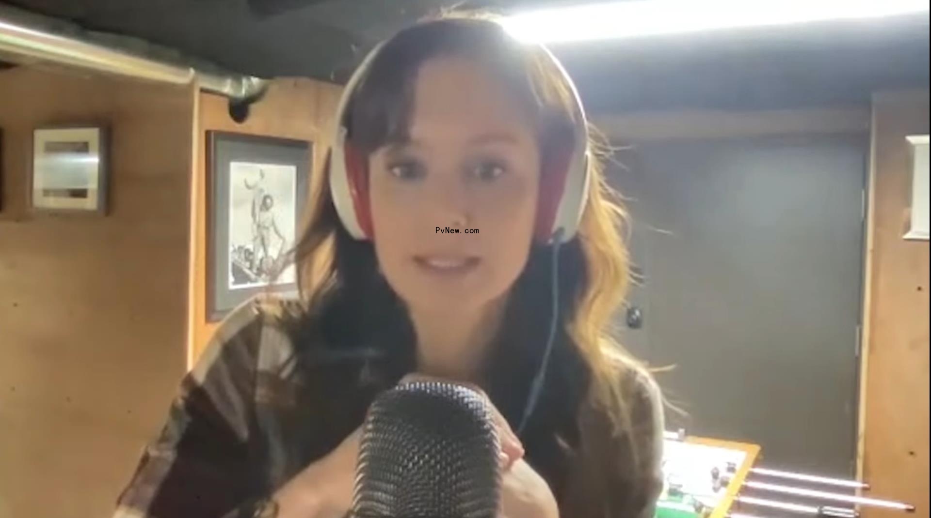 Sarah Wayne Callies 