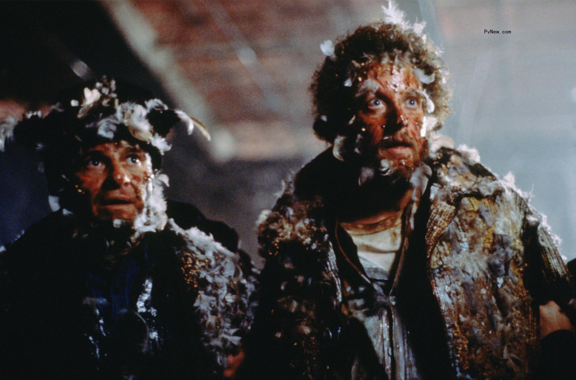 Joe Pesci and Daniel Stern, covered in feathers in a scene from
