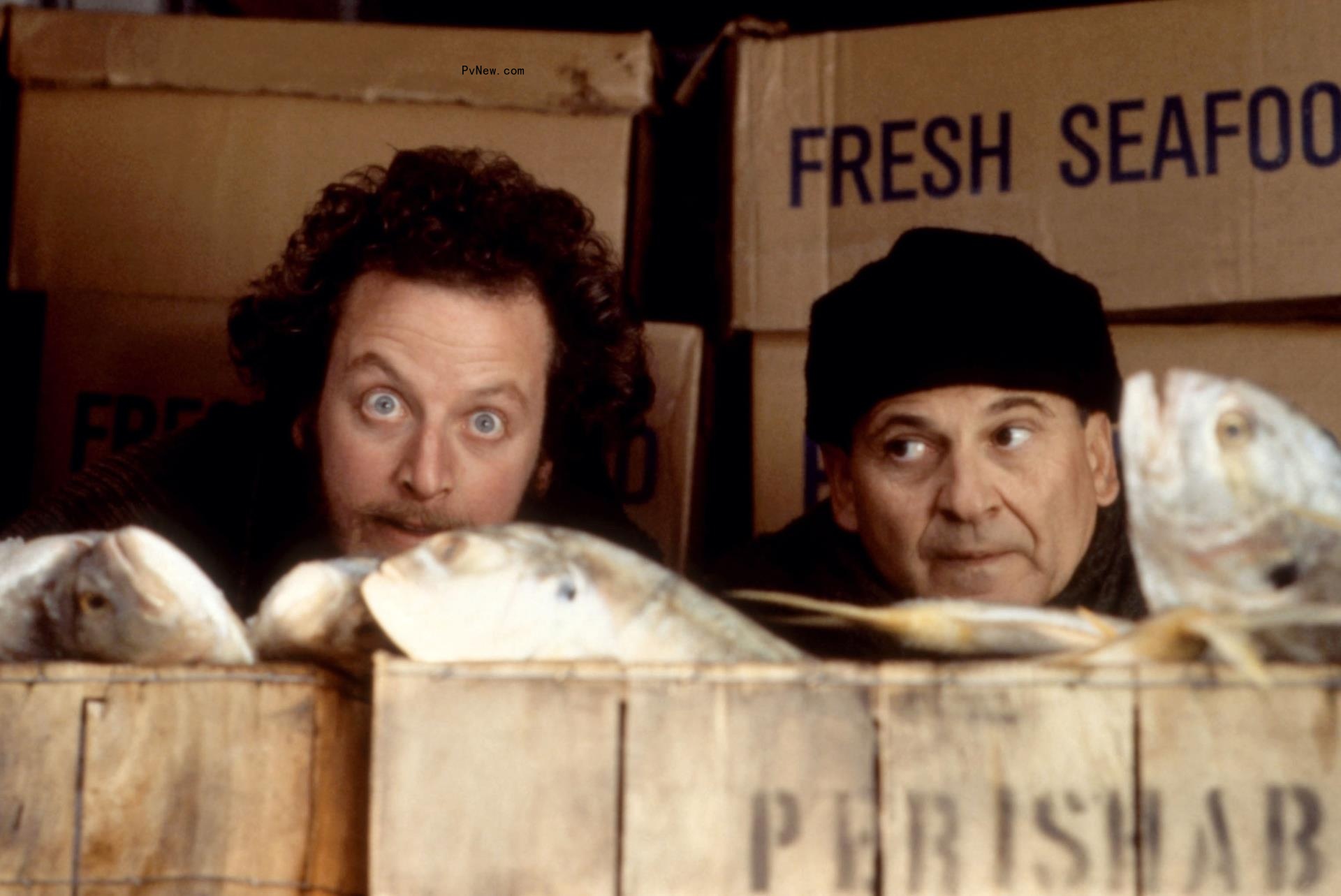 Joe Pesci, Macaulay Culkin, Daniel Stern in a scene from