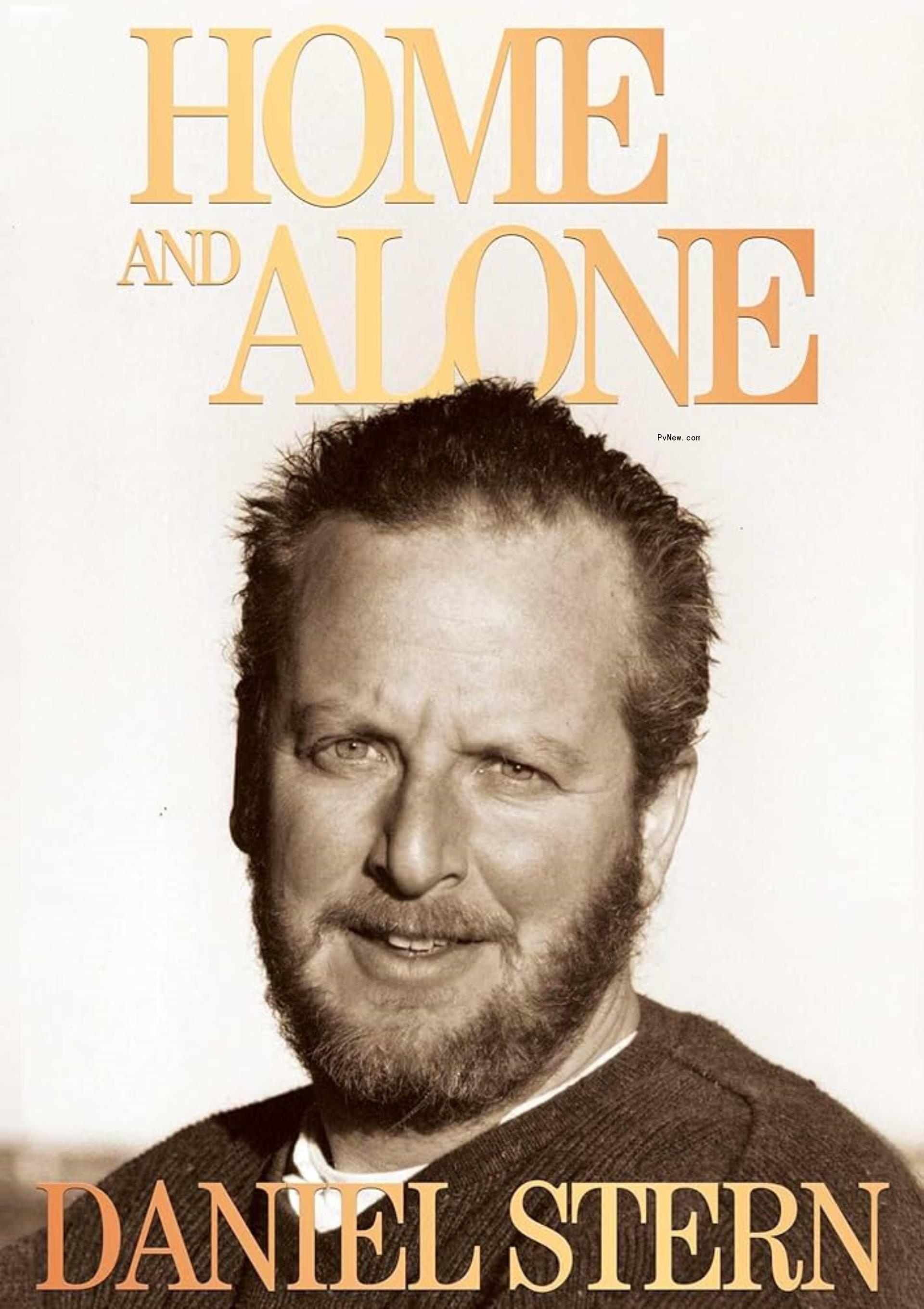 Cover of Daniel Stern book
