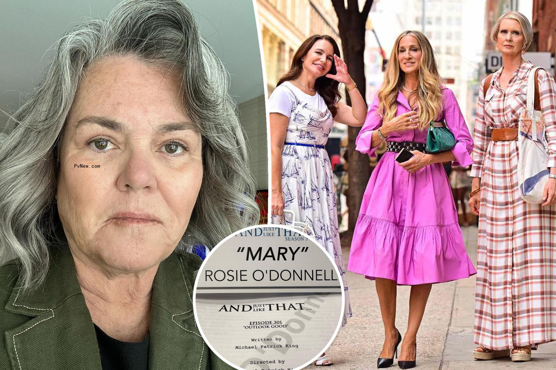 Rosie O'Do<i></i>nnell in a selfie. split with Sarah Jessica Parker, Cynthia Nixon and Kristin Davis in 