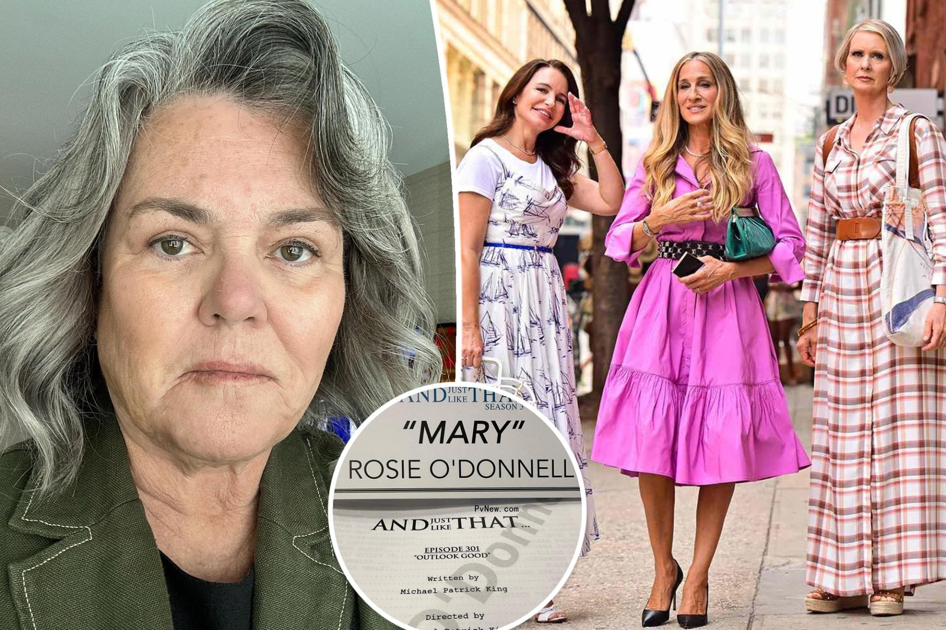 Rosie O'Do<i></i>nnell in a selfie. split with Sarah Jessica Parker, Cynthia Nixon and Kristin Davis in 
