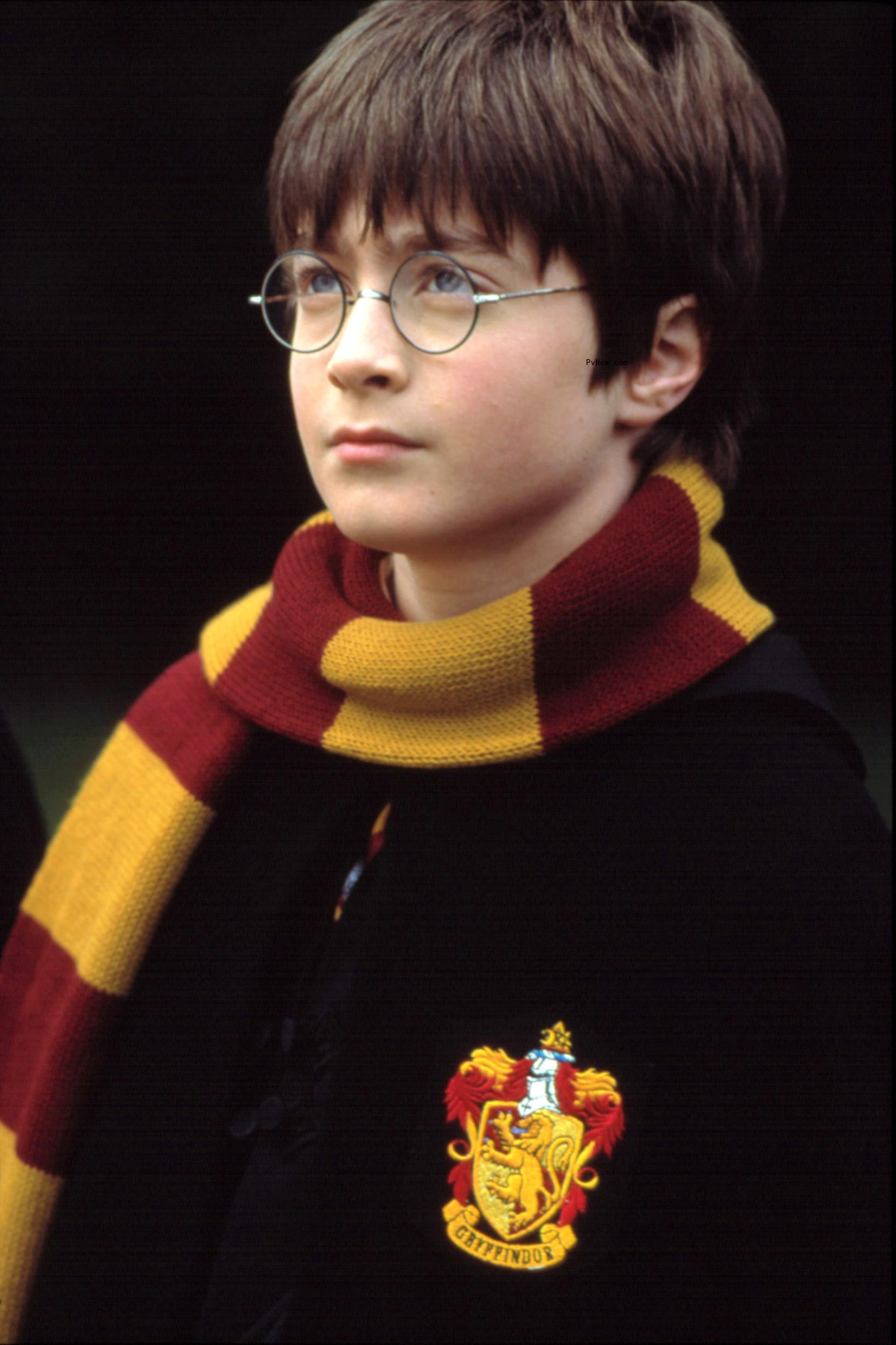 Daniel Radcliffe as Harry Potter.