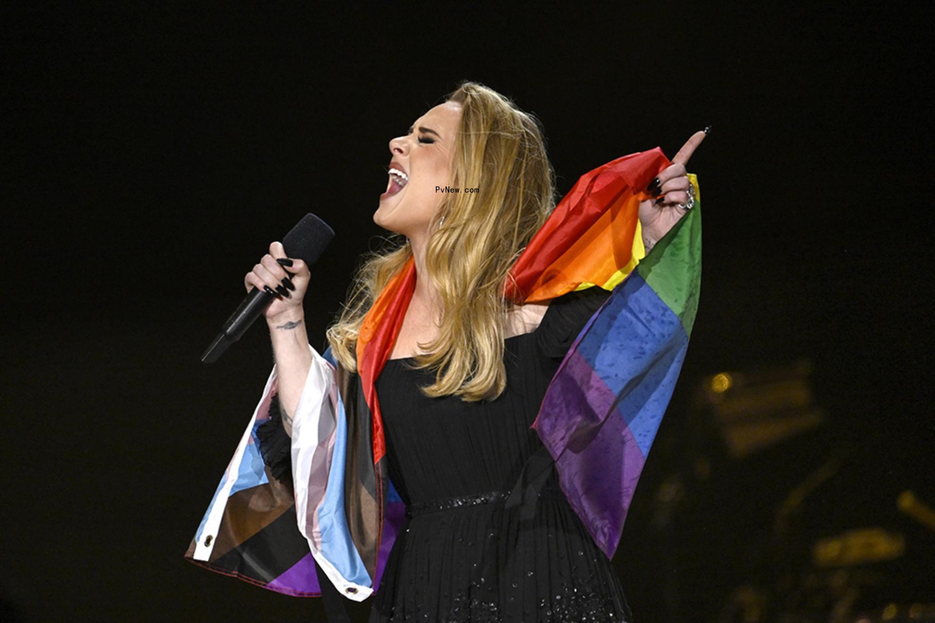 Adele Tells Off Audience Member Who Yelled ‘Pride Sucks’ at Las Vegas Show: ‘Are You F—ing Stupid?’