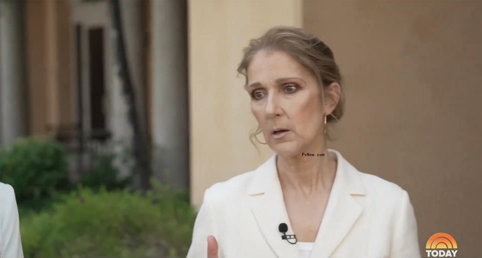 Celine Dion during her 