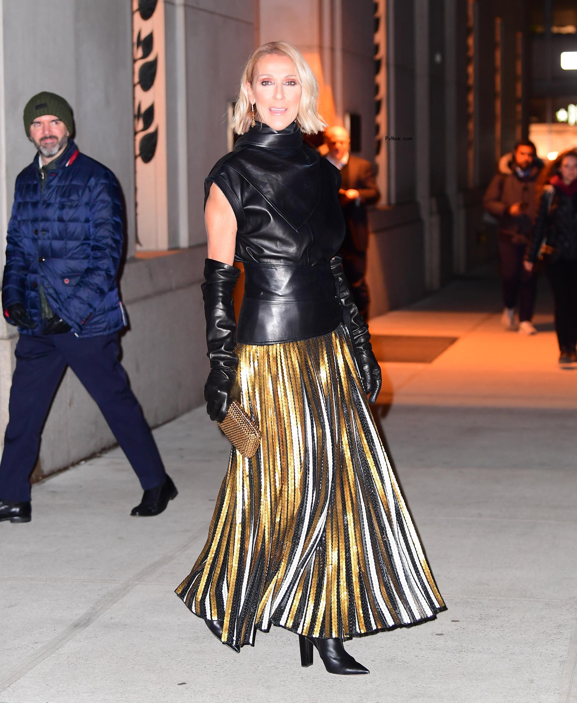 Celine Dion in New York City. 
