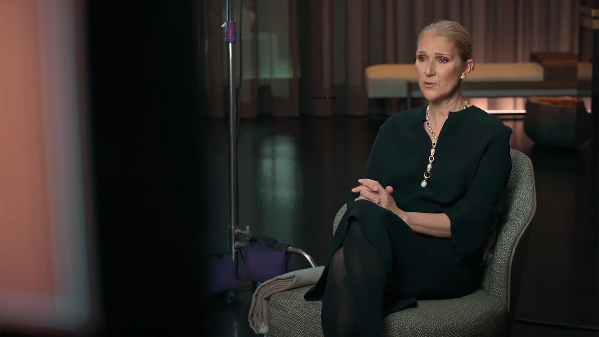 Celine Dion onstage.