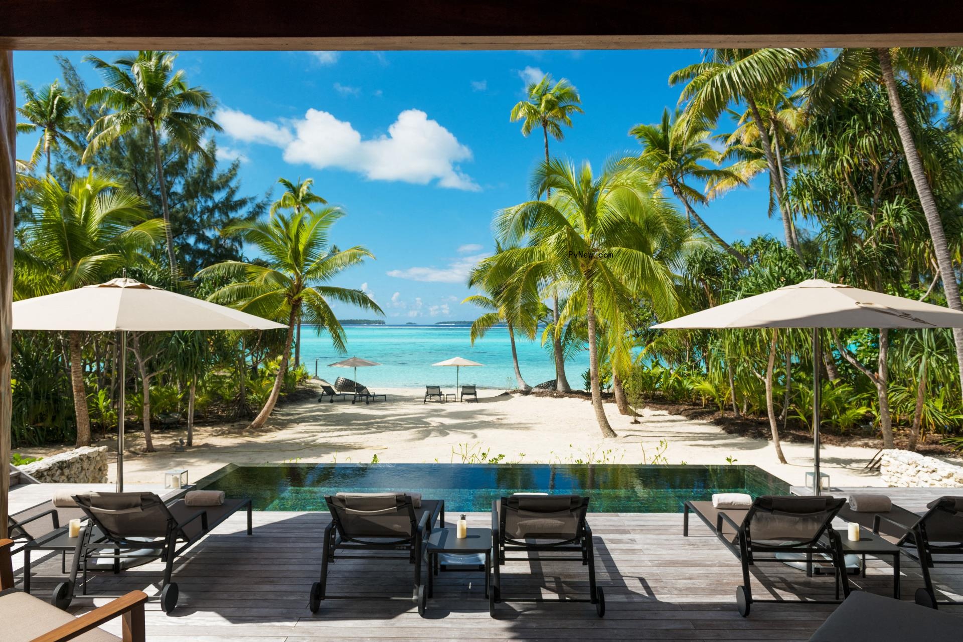 the brando resort