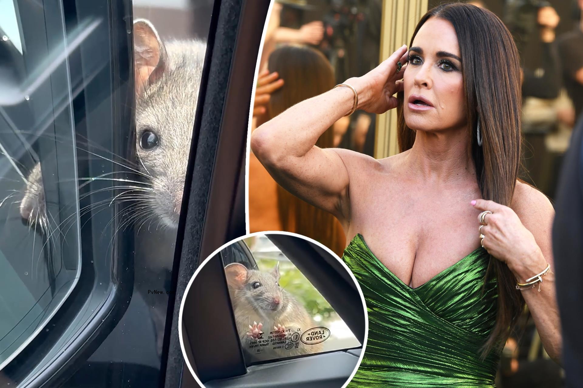 Kyle Richards panics while trapped in her car with a rat looking in the window in wild video