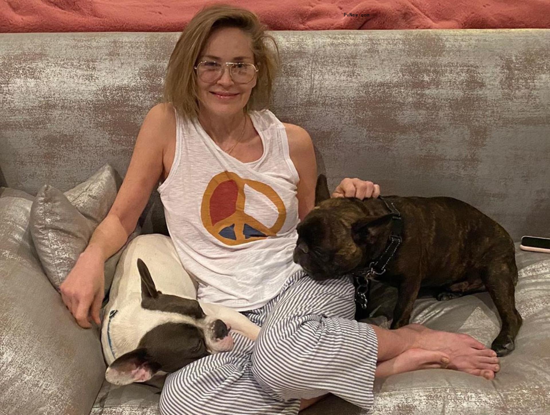 Sharon Stone with her dogs. 