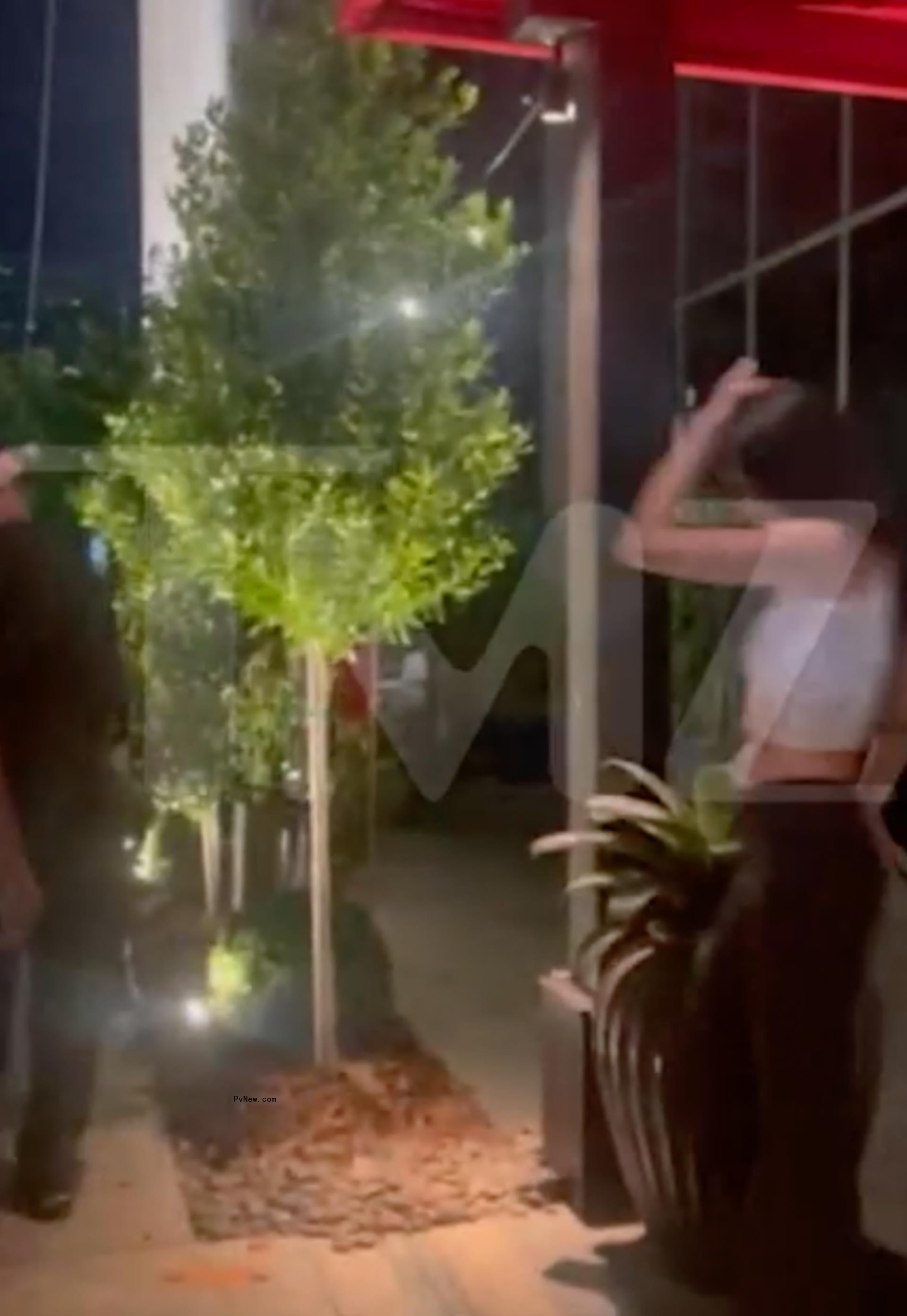 Kendall Jenner and Bad Bunny exiting a restaurant in Miami