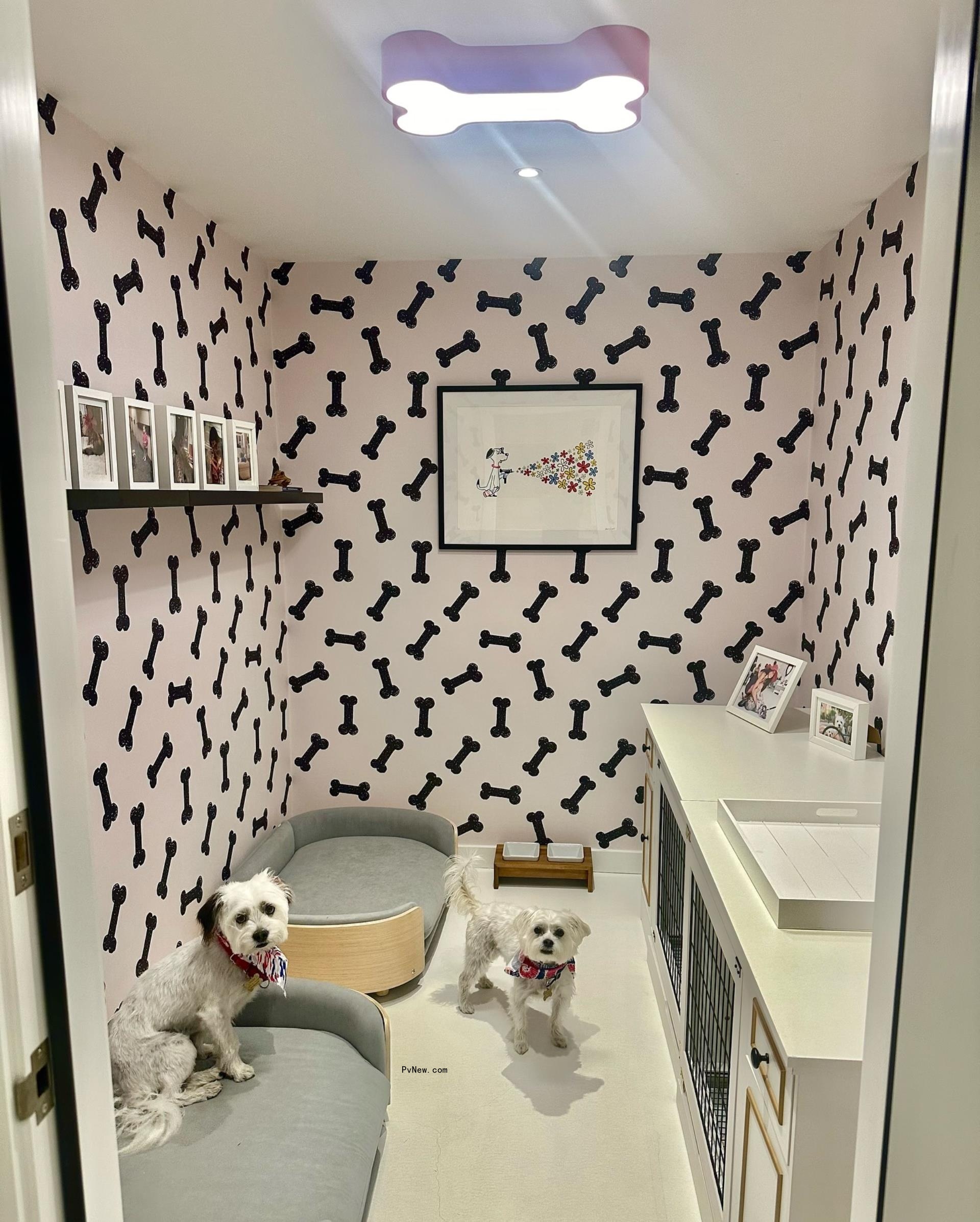 Bethenny Frankel's dogs