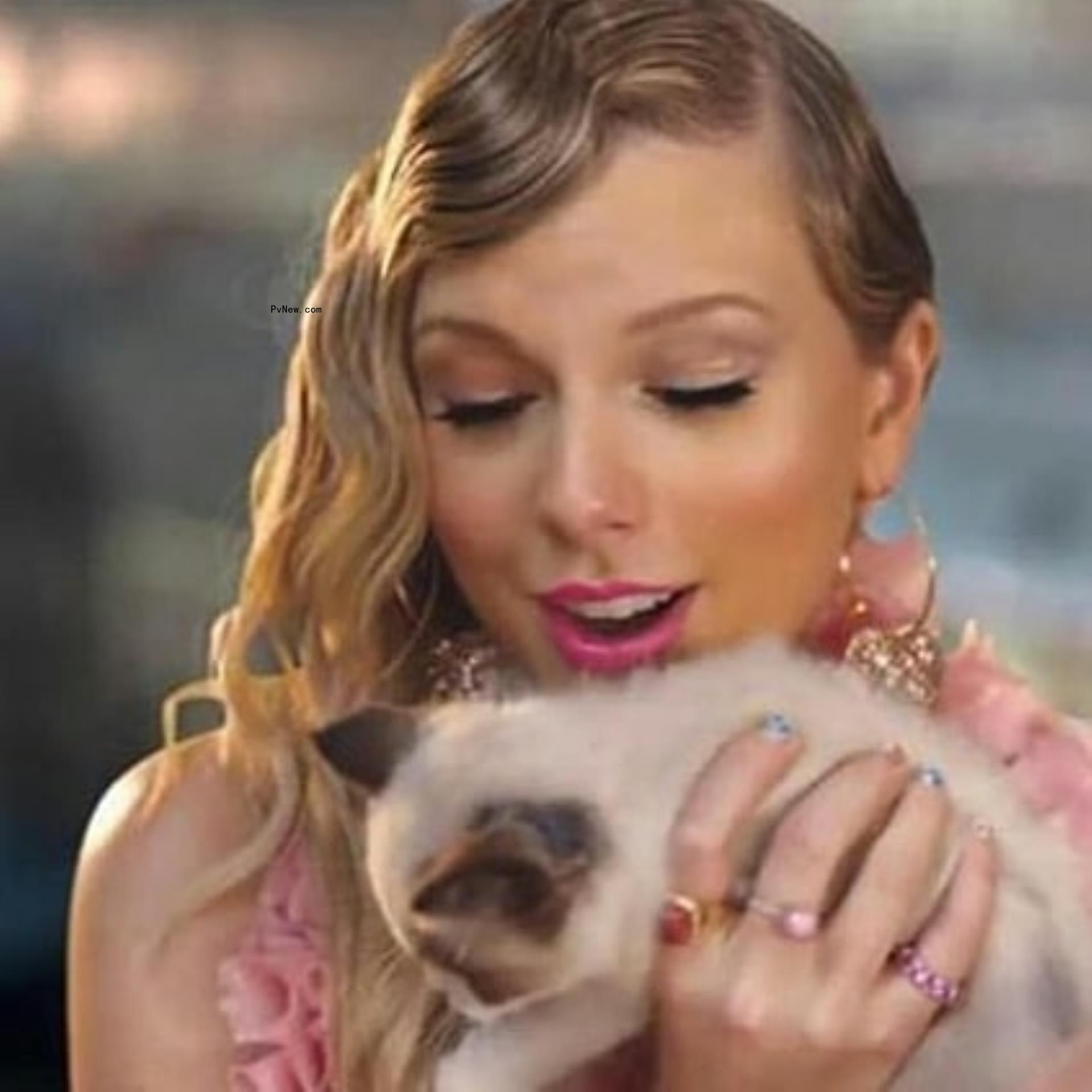 Taylor Swift and her cat