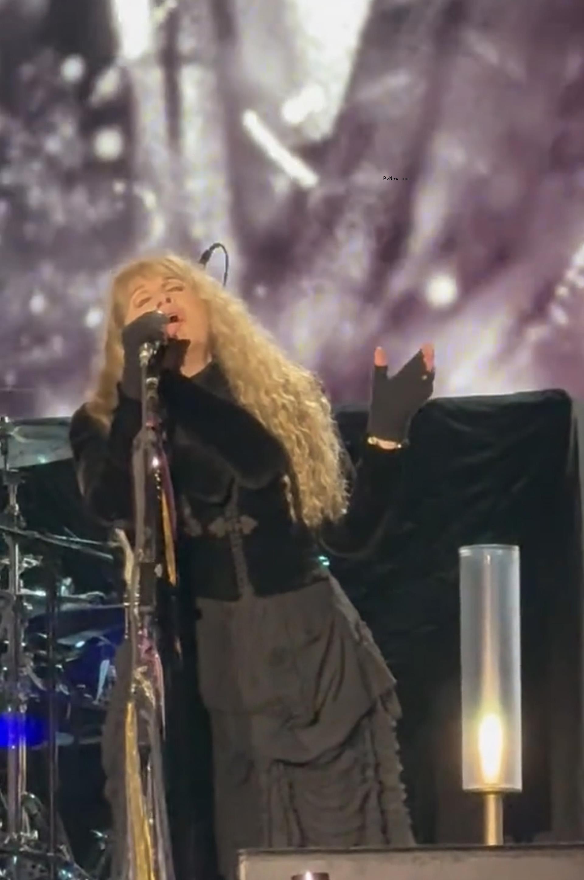 Stevie Nicks wears Taylor Swift