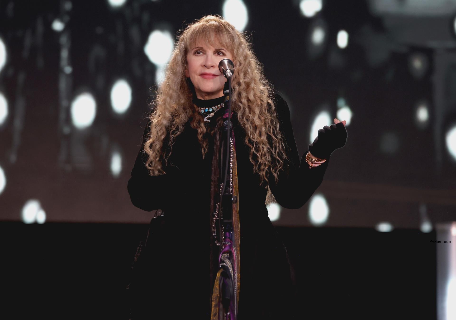 Stevie Nicks wears Taylor Swift