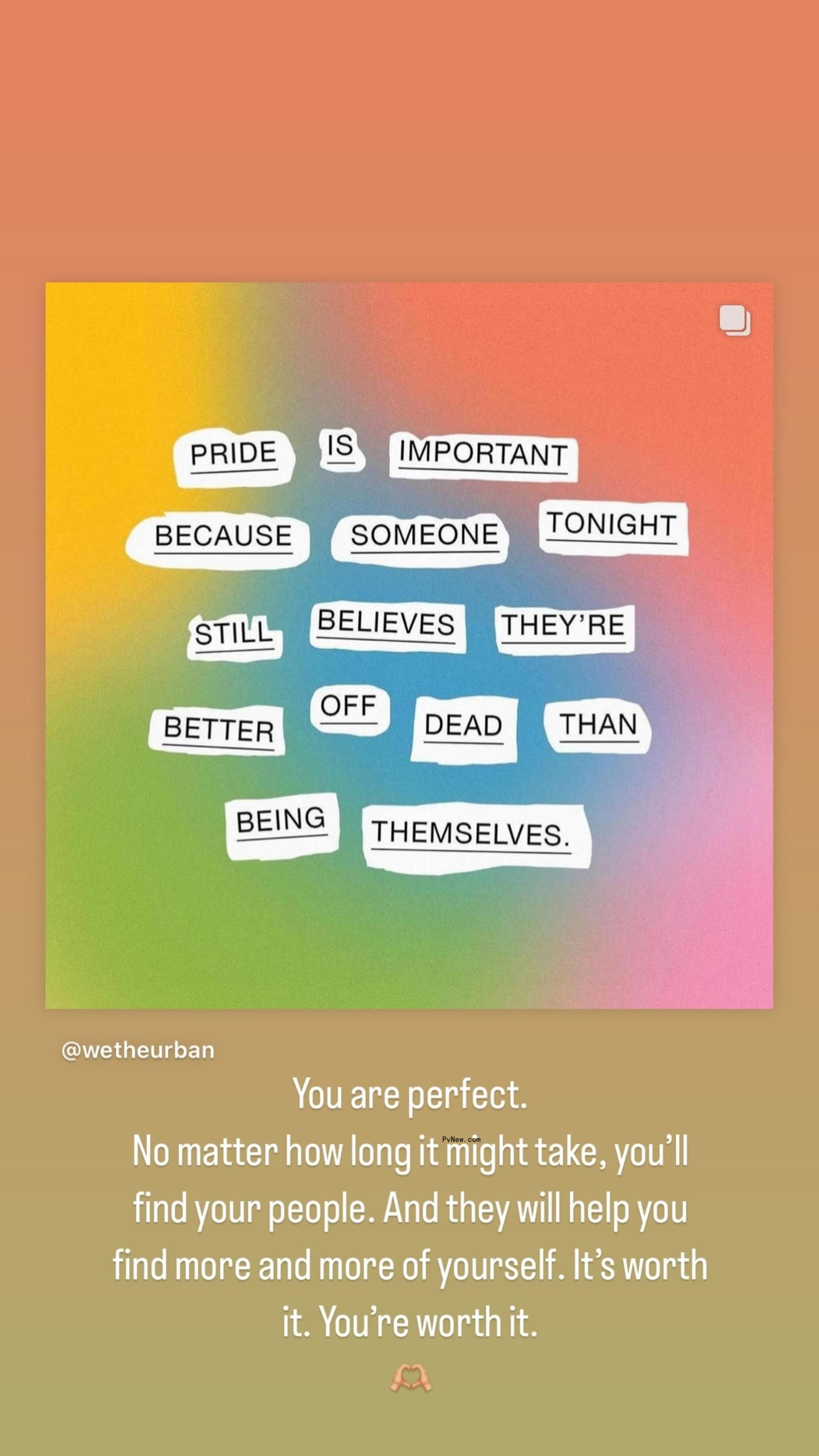 Sophia Bush Instagram Story
