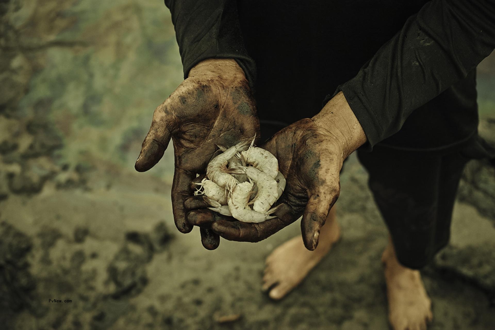 Syndicado to Sell Álvaro F. Pulpeiro’s Dystopian Eco-Thriller ‘Petroleo’ a<i></i>bout the ‘Hidden and Intricate World’ of the Oil Industry