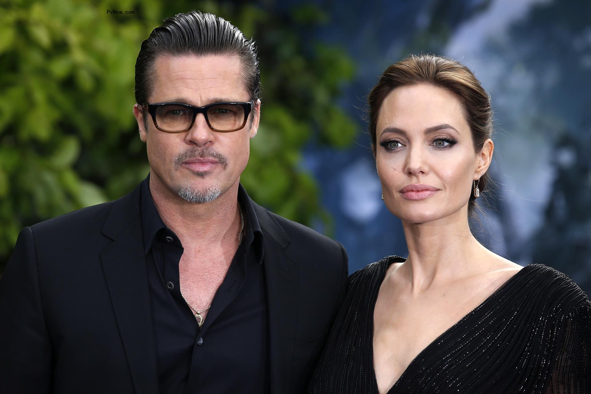 Angelina Jolie and Brad Pitt in 2014.