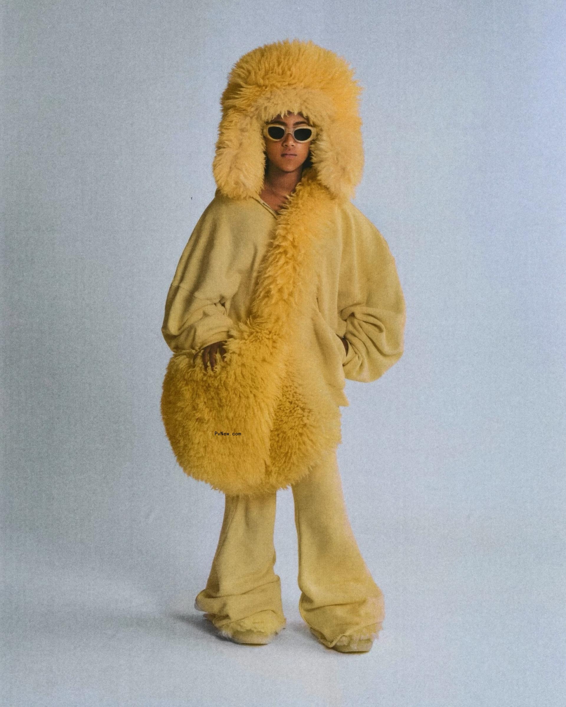 North West Lion King