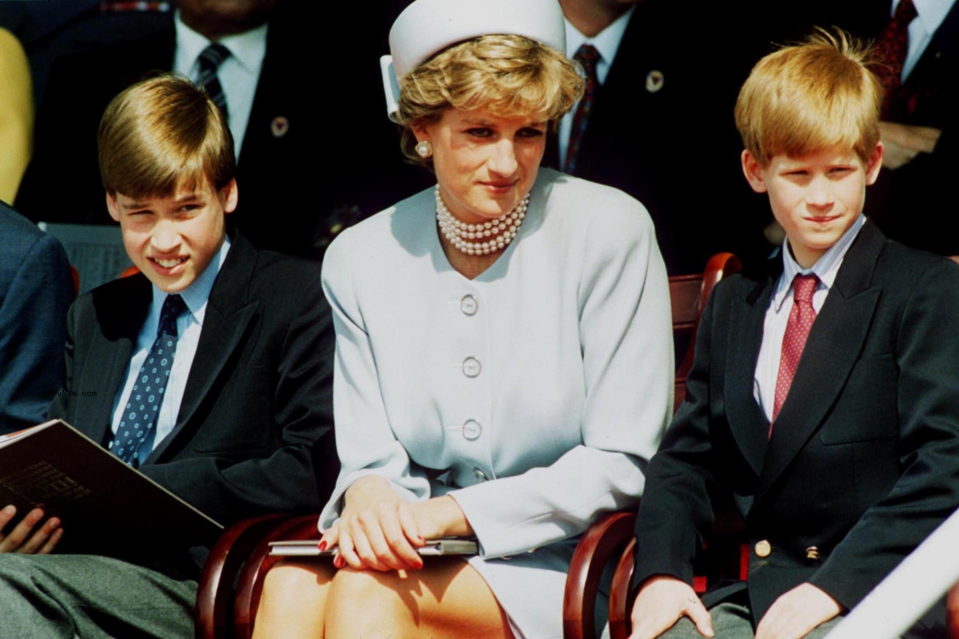 Prince William, Princess Diana and Prince Harry