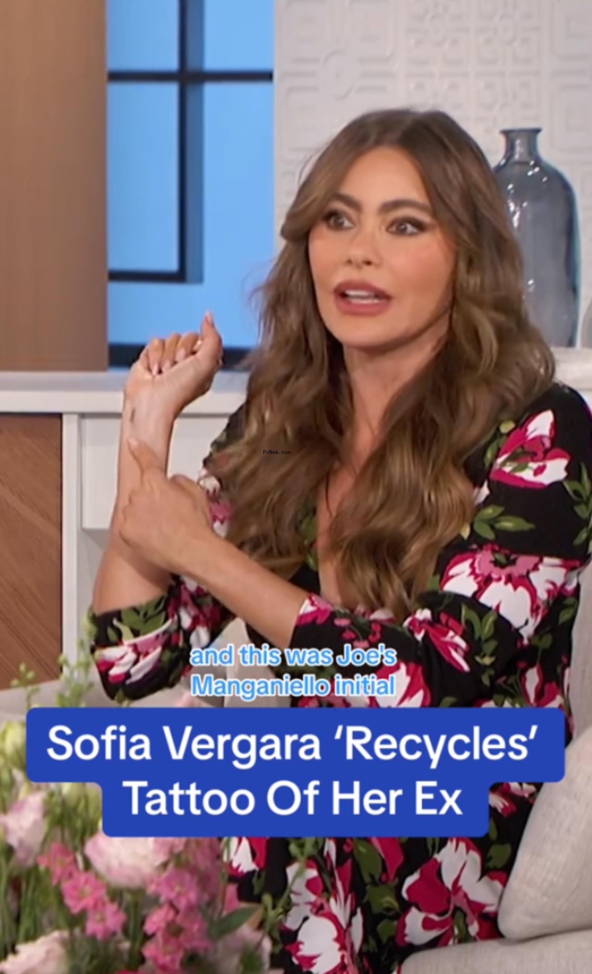 Sofia Vergara