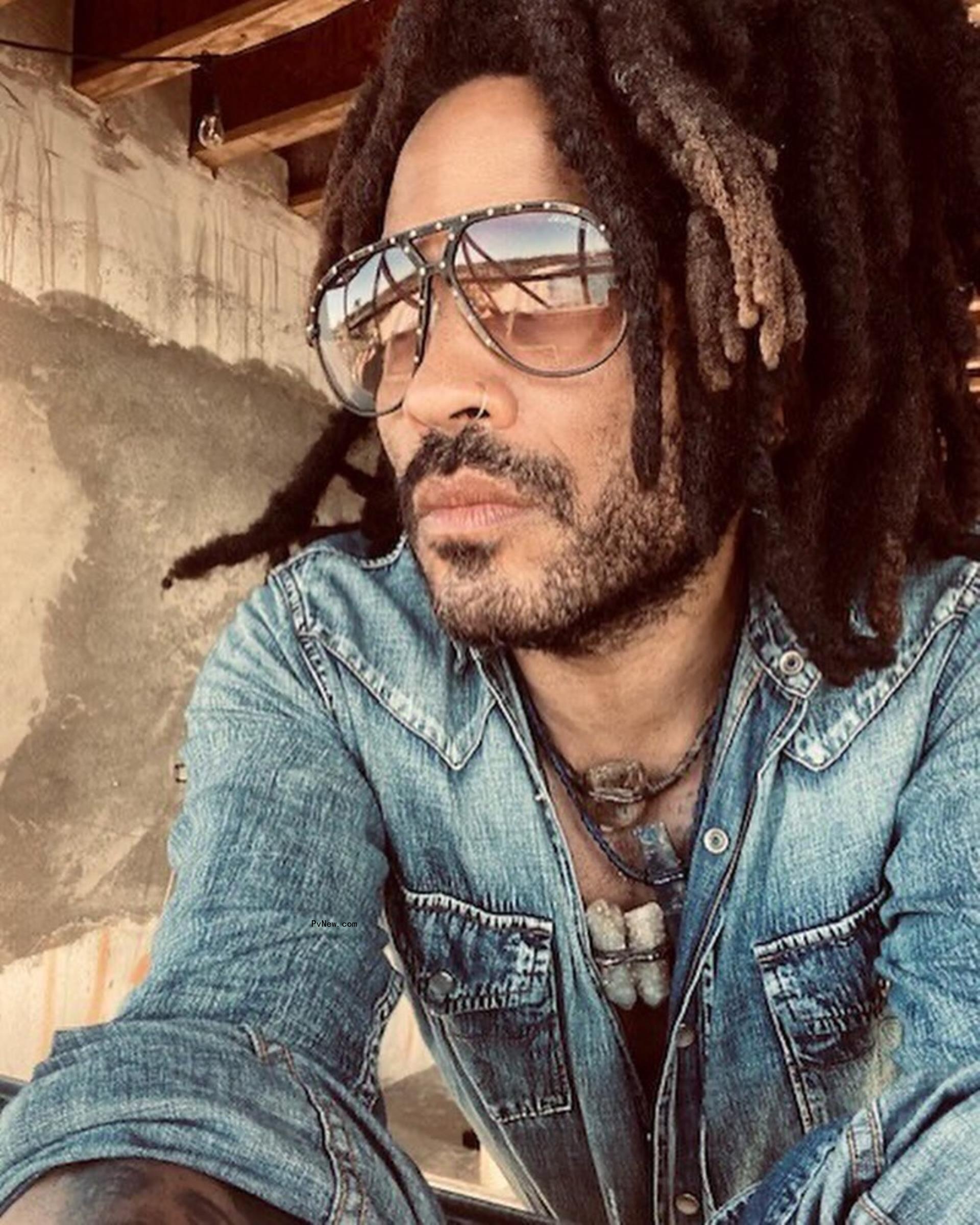 Lenny Kravitz walking shirtless