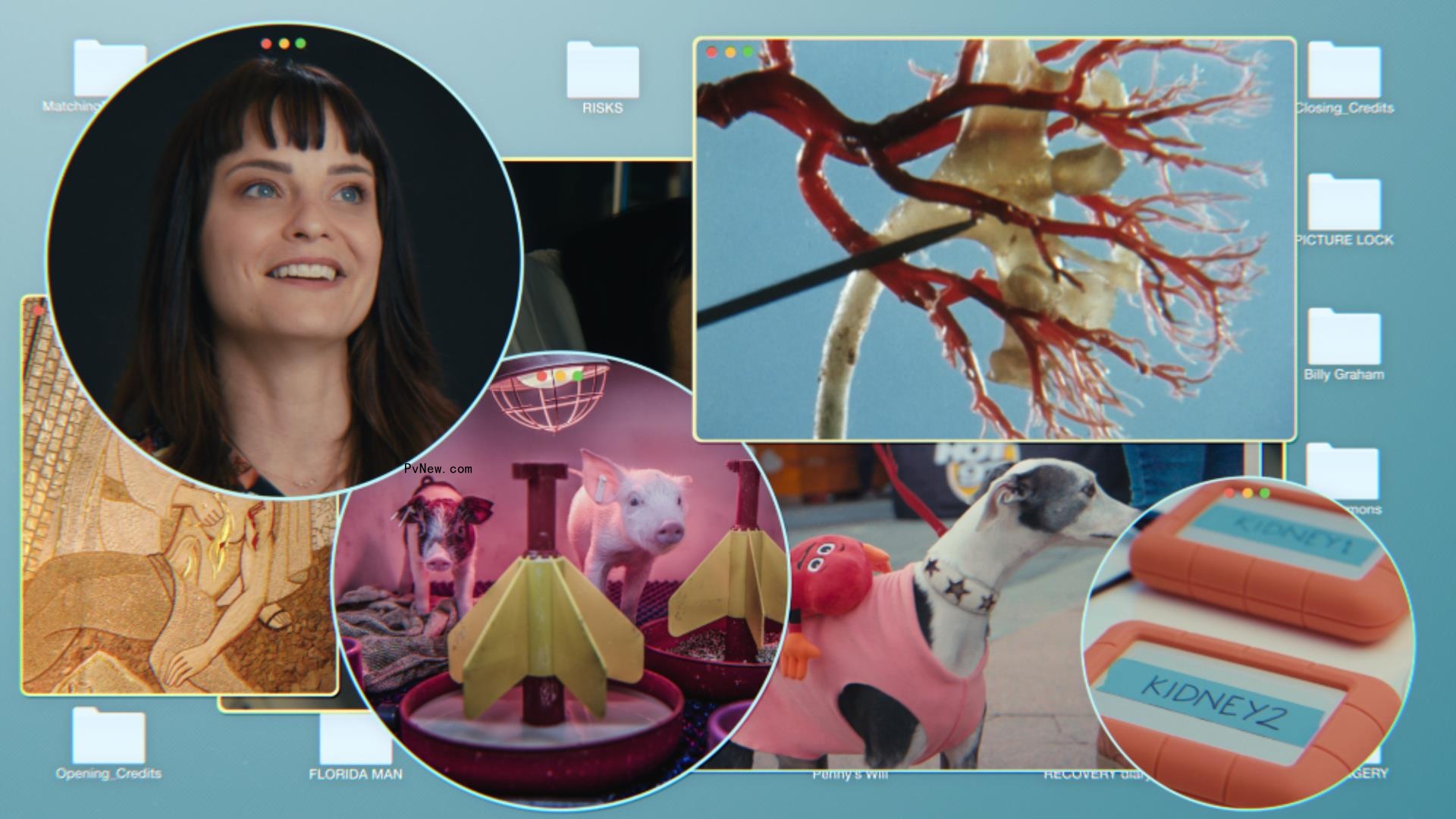 Sandbox Films to Theatrically Release Penny Lane’s ‘Co<i></i>nfessions of a Good Samaritan’