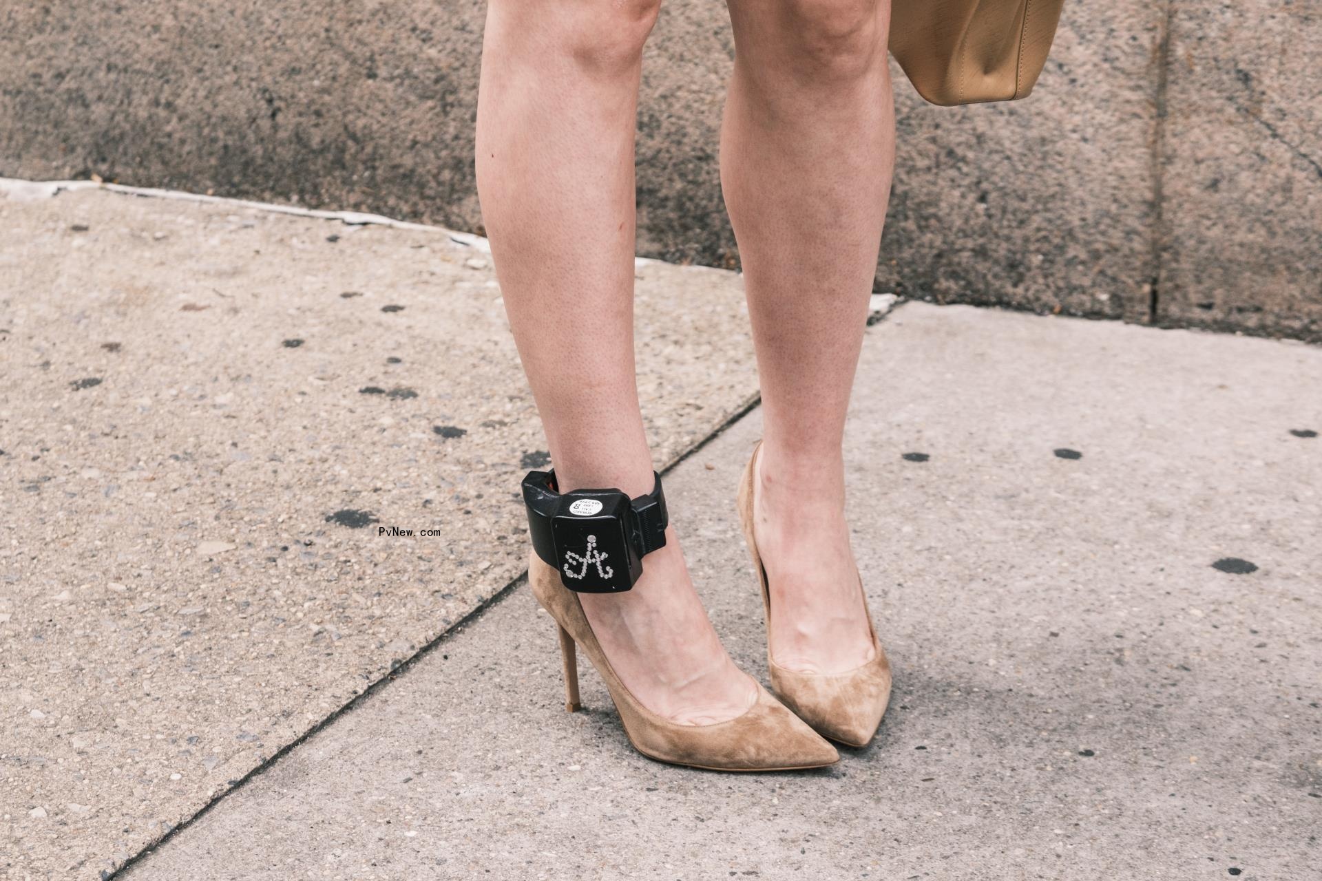 Anna Delvey