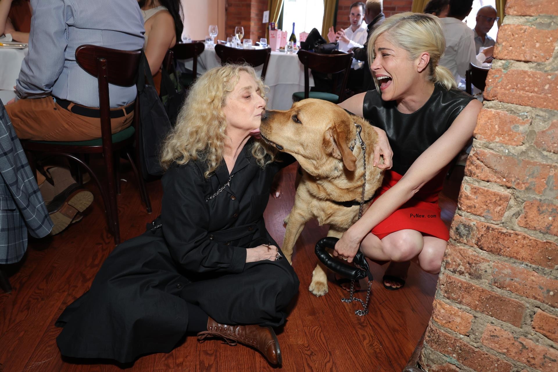 Selma Blair and Scout photo