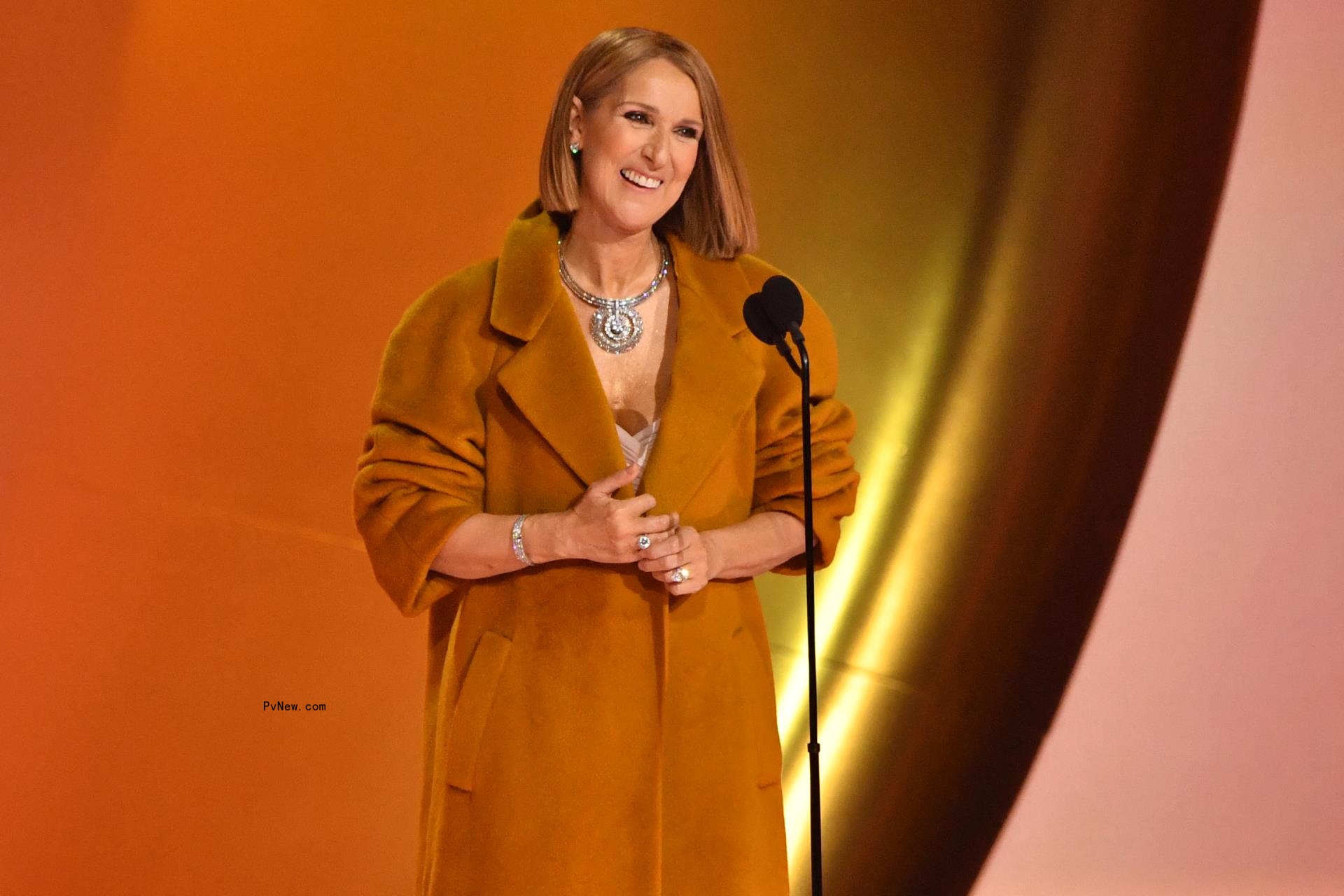 Celine Dion at the 2024 Grammys.