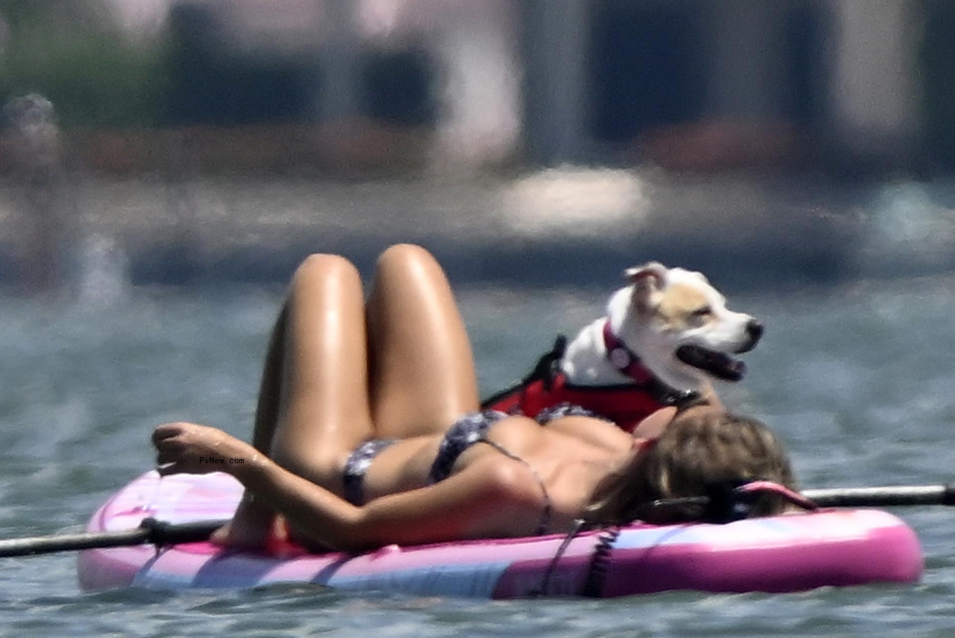 Sydney Sweeney and her dog on a paddle board.