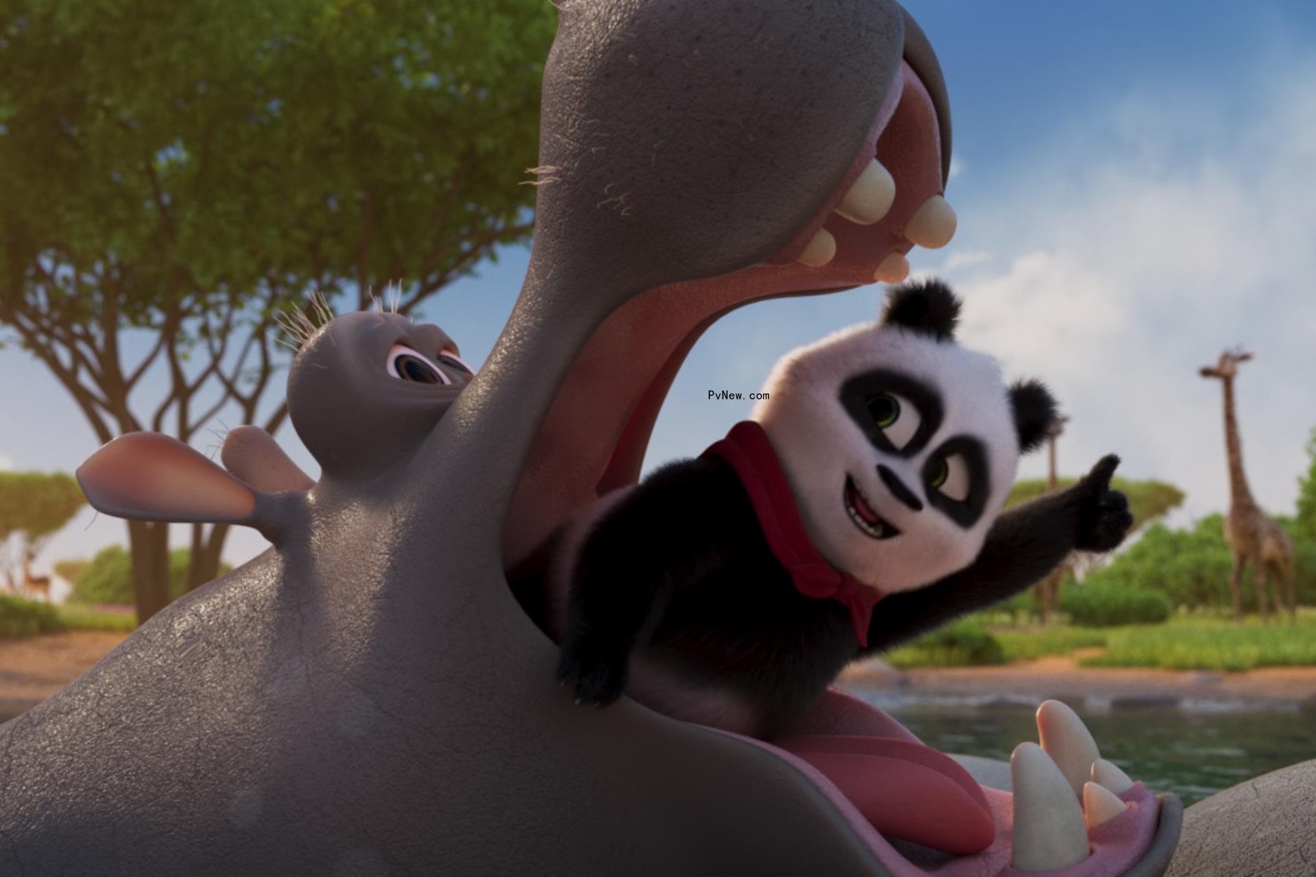 Annecy Presents Player ‘Panda Bear in Africa’ Sells in Key Territories
