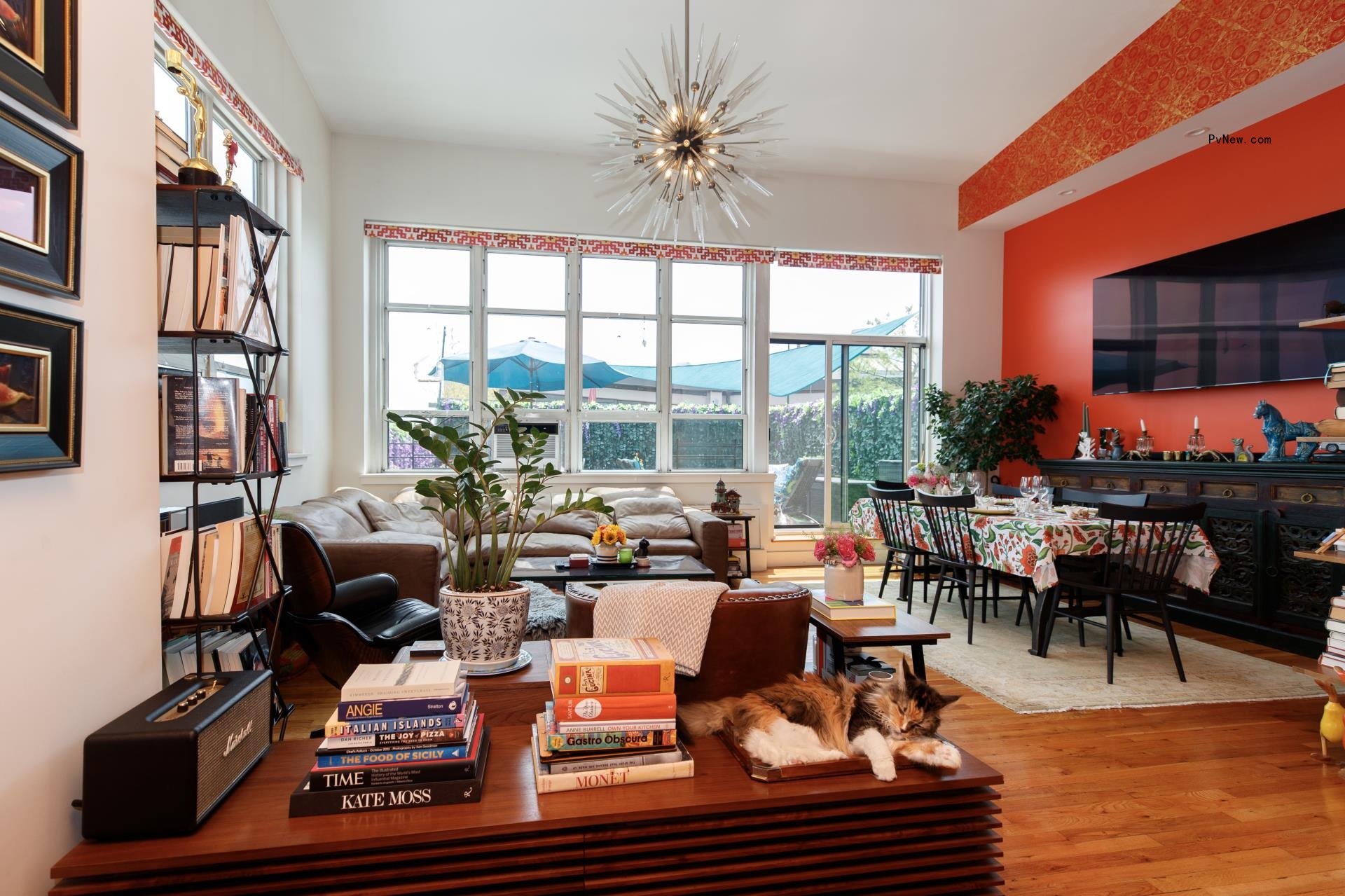 Anne Burrell's Brooklyn living room. 