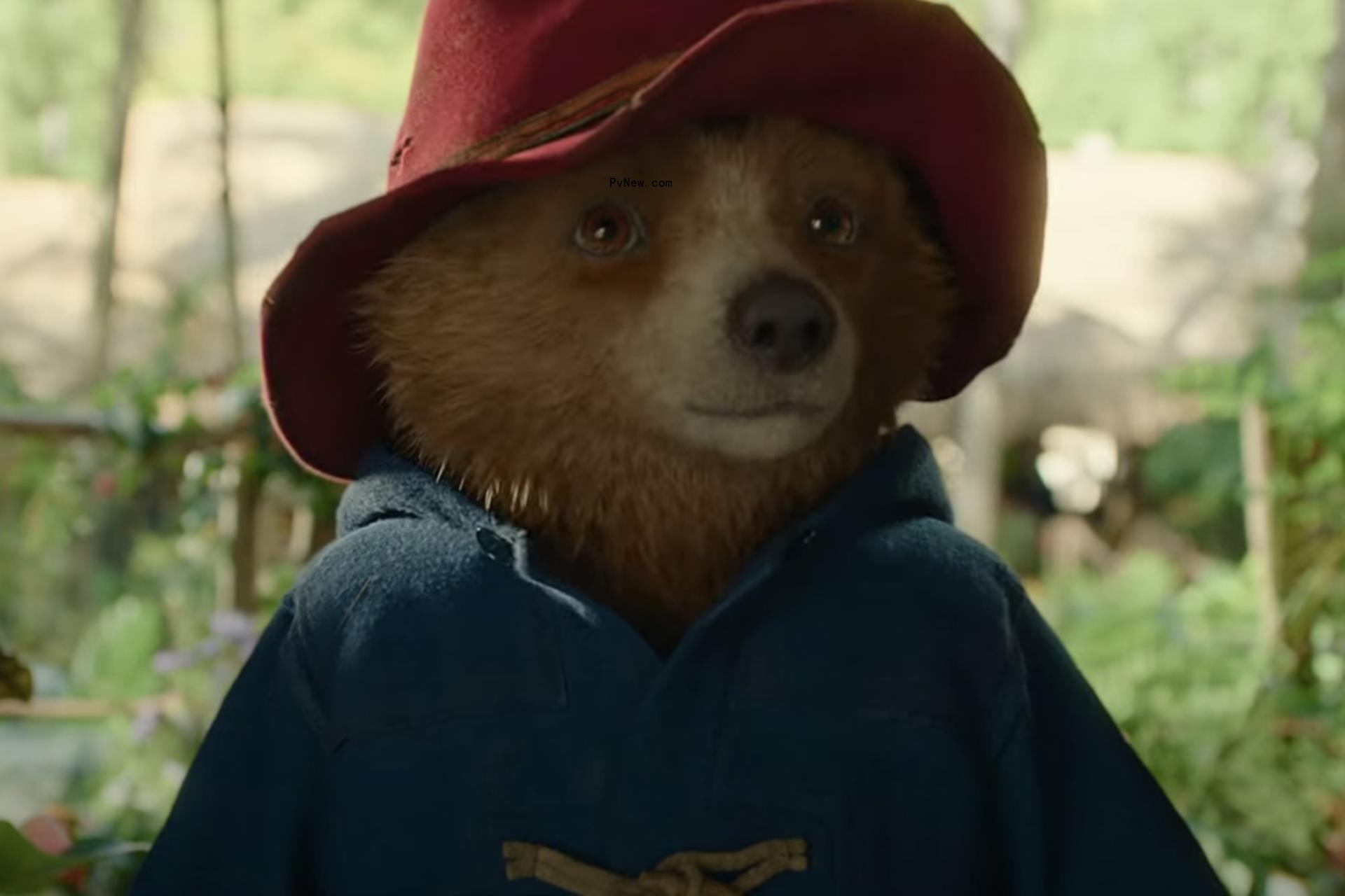‘Paddington in Peru’ Trailer: Britain’s Beloved Bear Is Back for Another Adventure, This Time With Olivia Colman as a Guitar-Wielding Nun