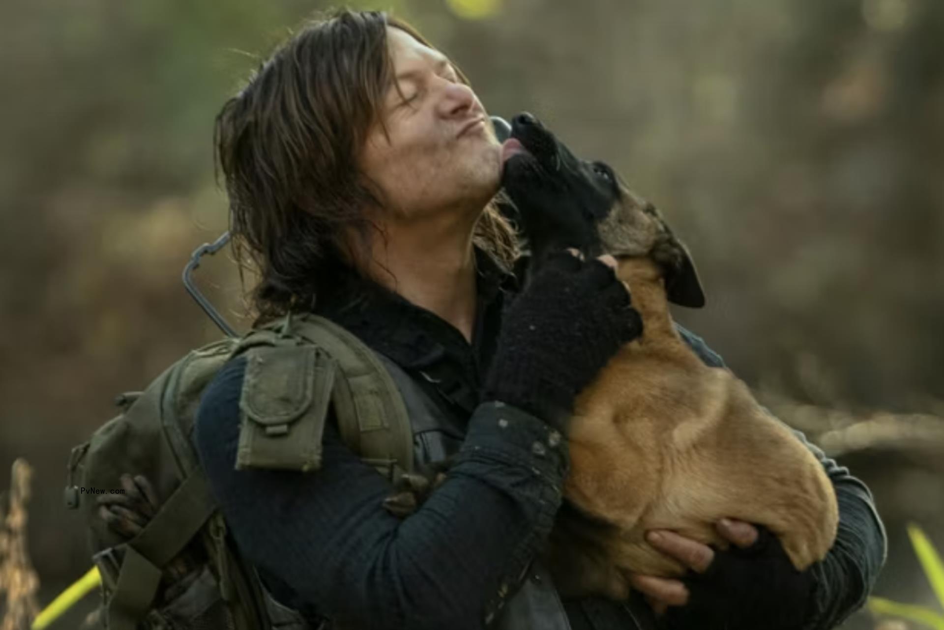‘Walking Dead’ Dog Dies as Norman Reedus Pays Tribute to His Canine Co-Star: ‘Best TV Buddy Ever’