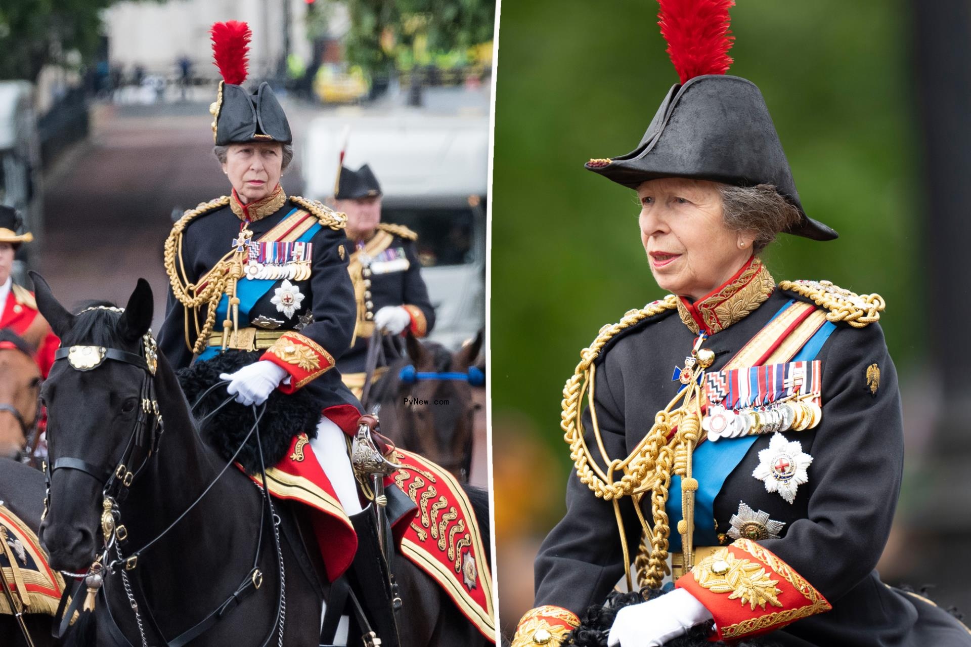 Princess Anne nearly loses co<i></i>ntrol of her horse during Trooping the Colour