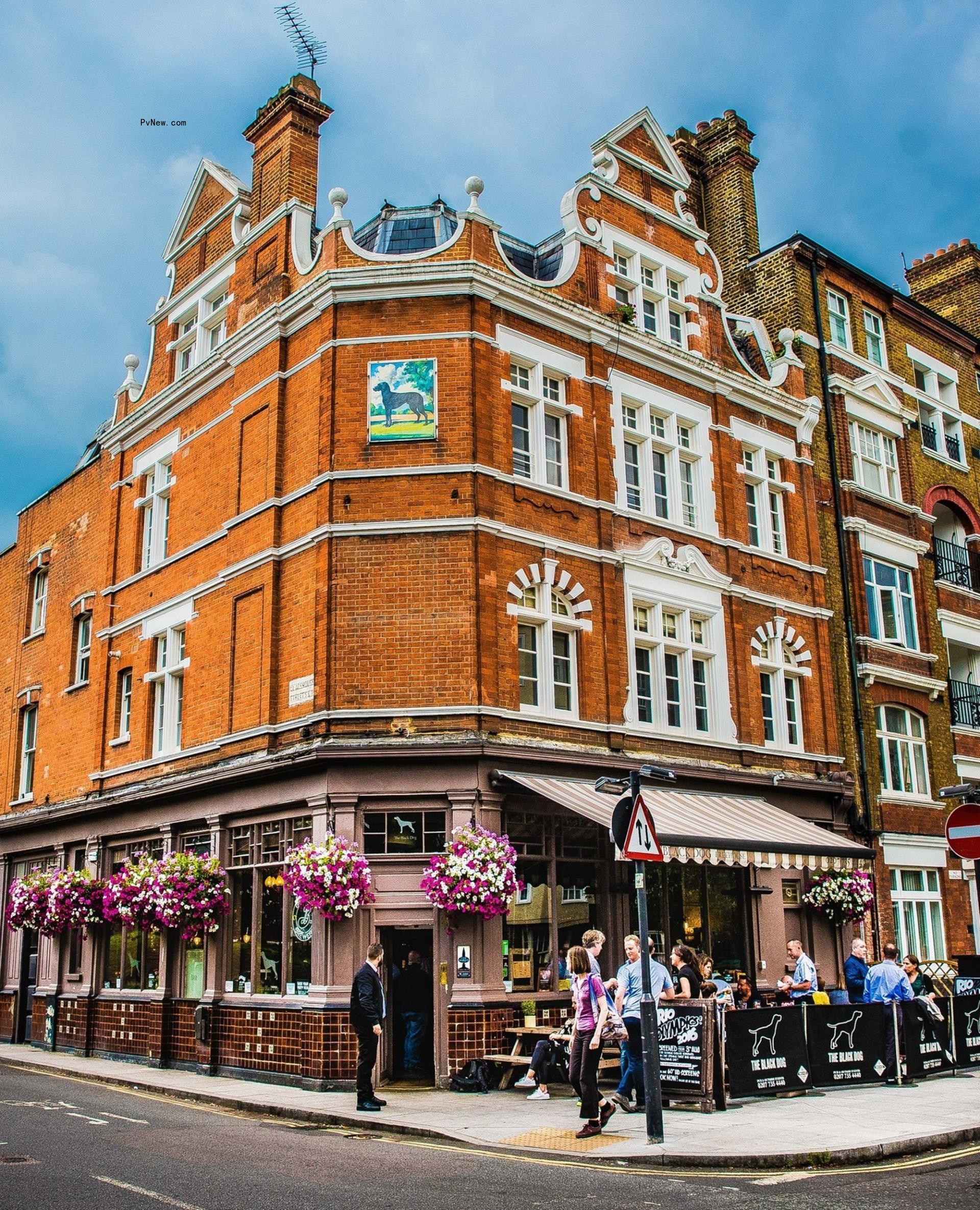 London's The Black Dog