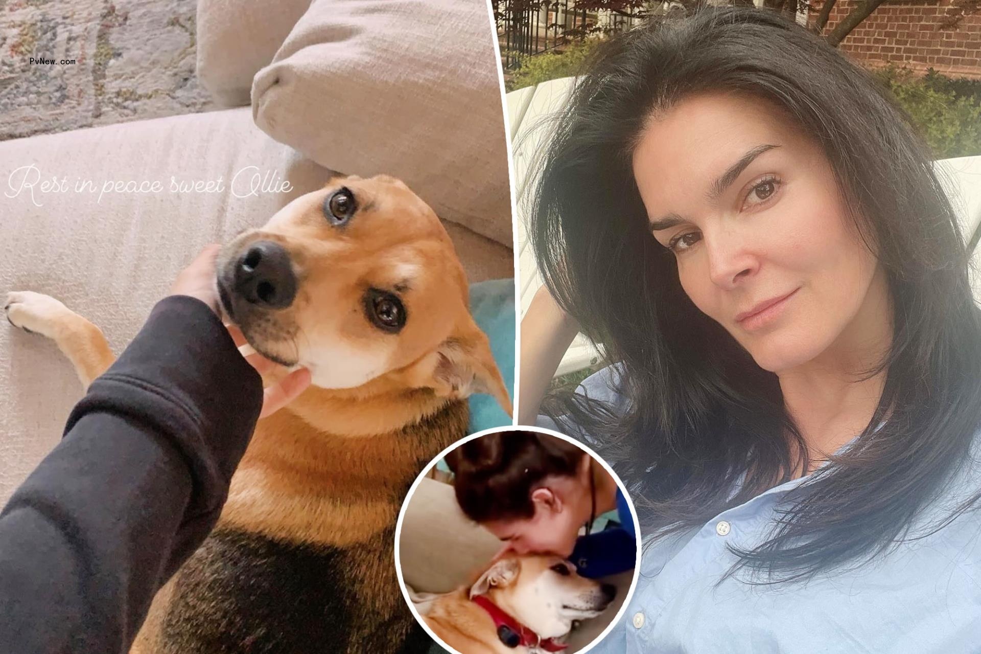 Angie Harmon and dog