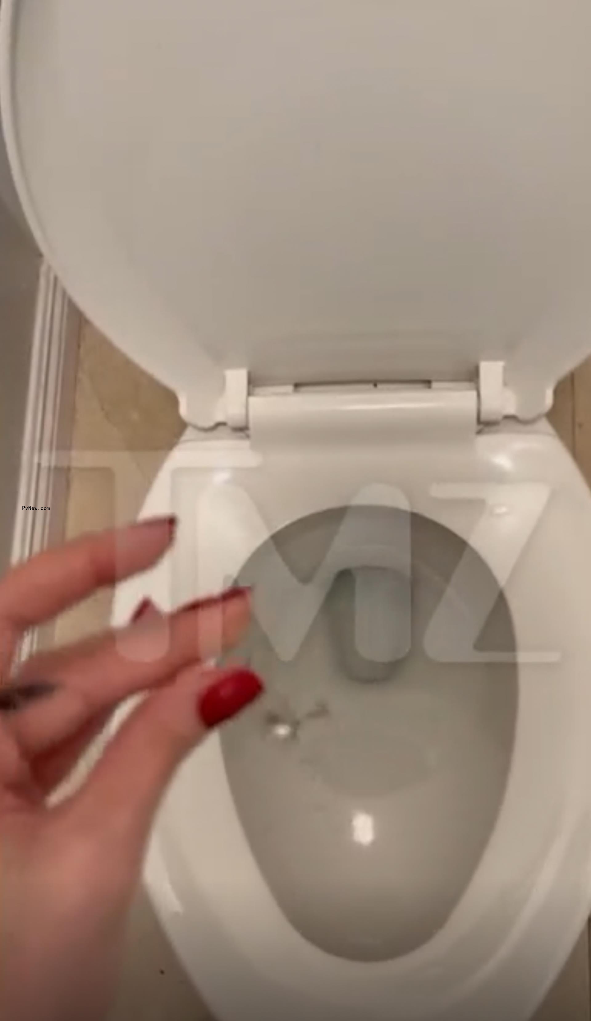 Courtney Stodden dro<i></i>pping an engagement ring into the toilet