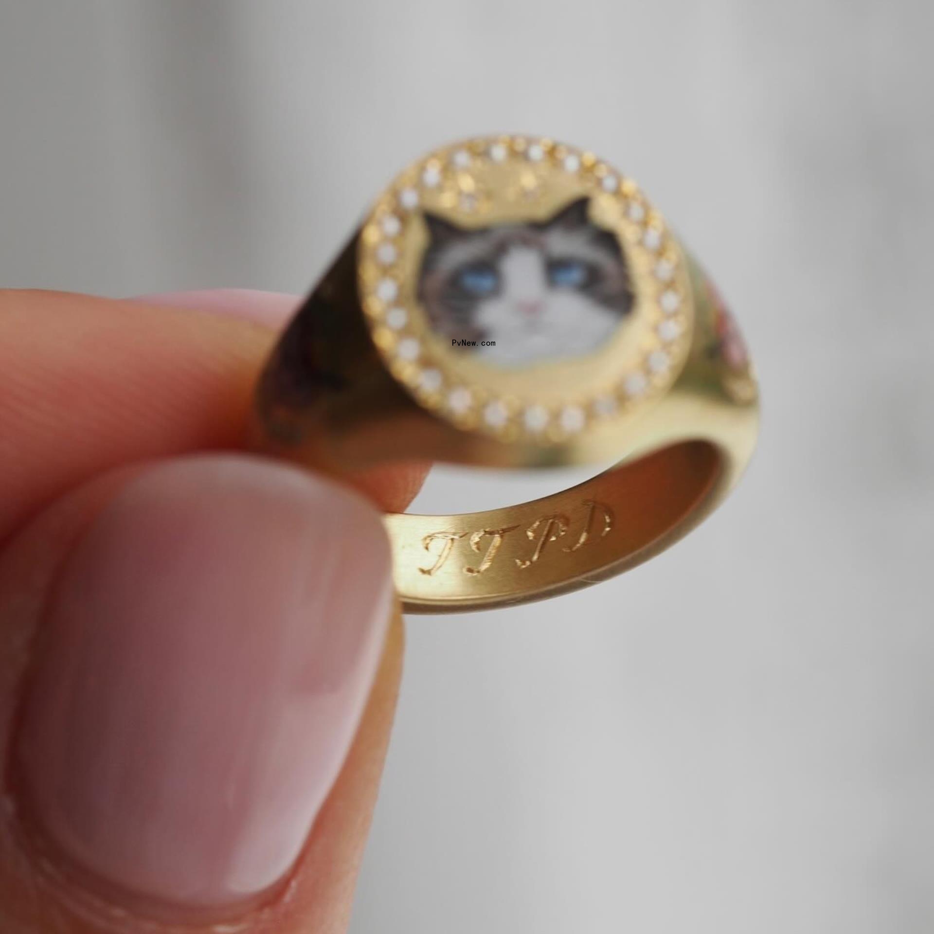 Taylor Swift's ring