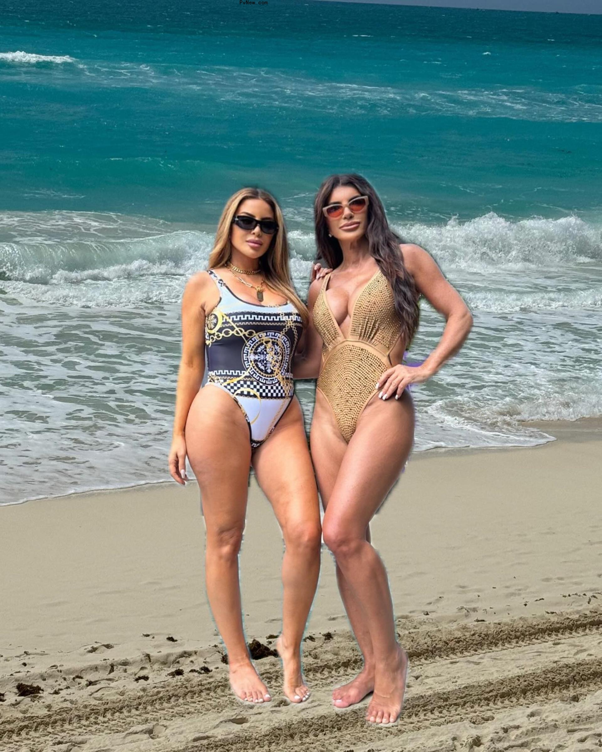 Larsa Pippen and Teresa Giudice Photoshopped o<i></i>nto the beach. 