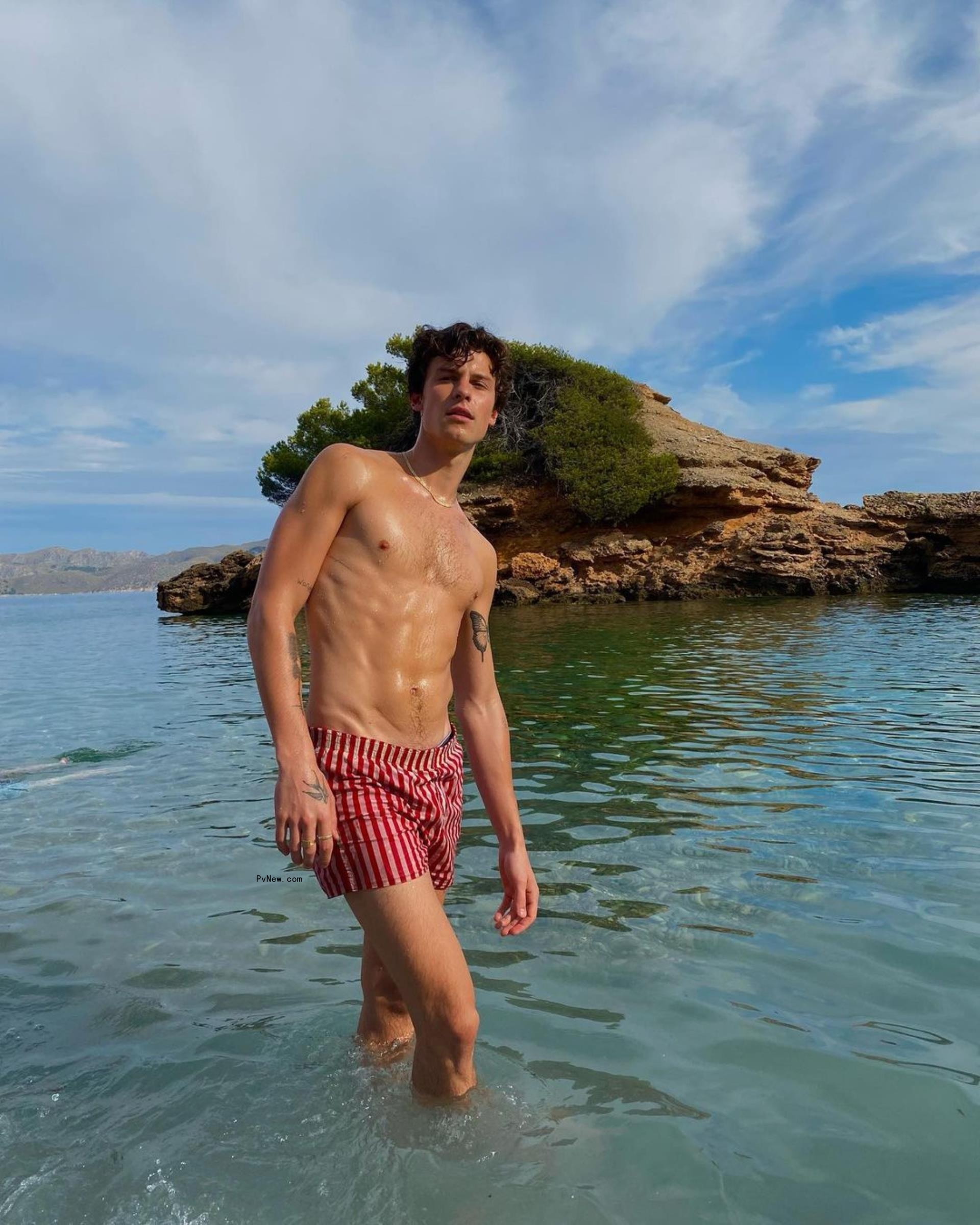 Shawn Mendes
