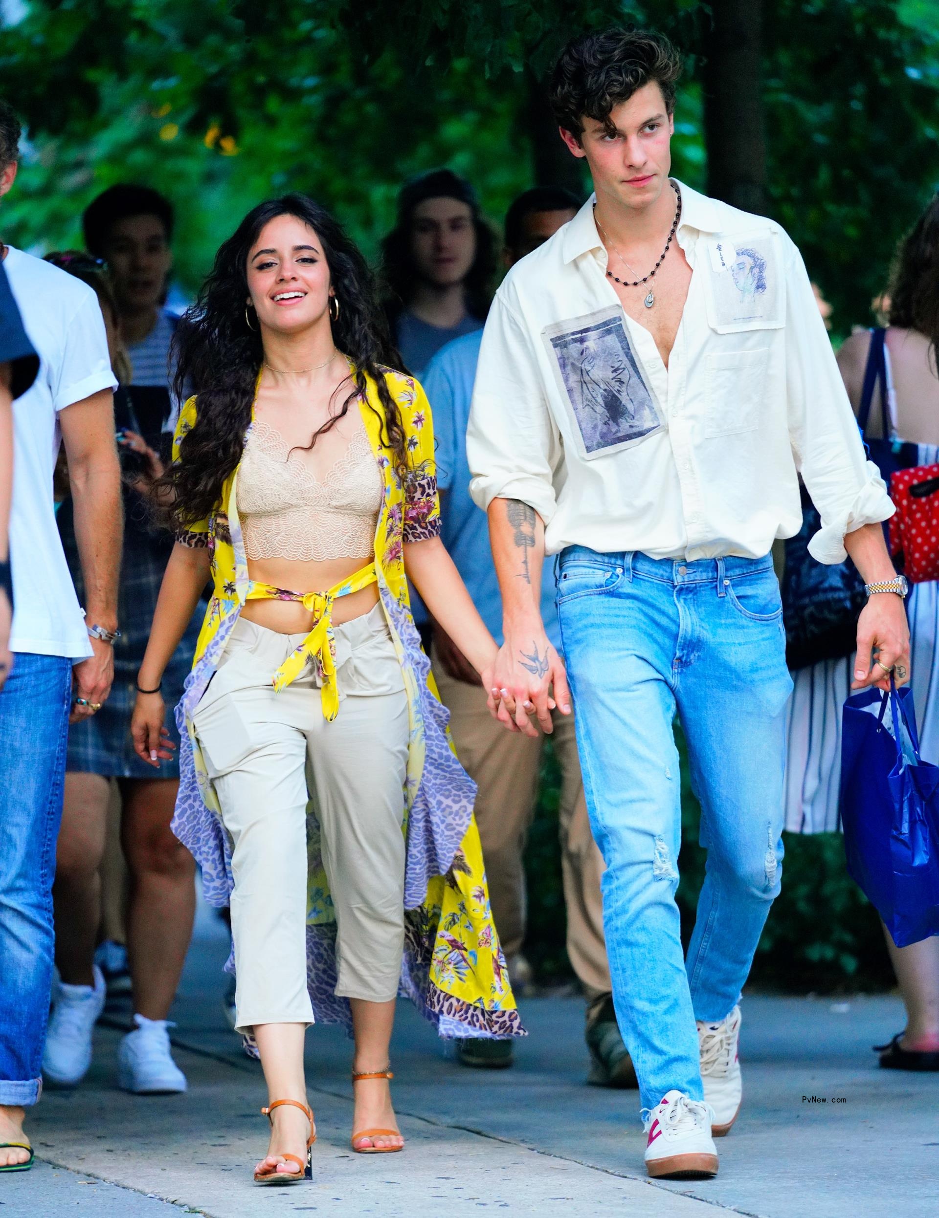 Camila Cabello and Shawn Mendes
